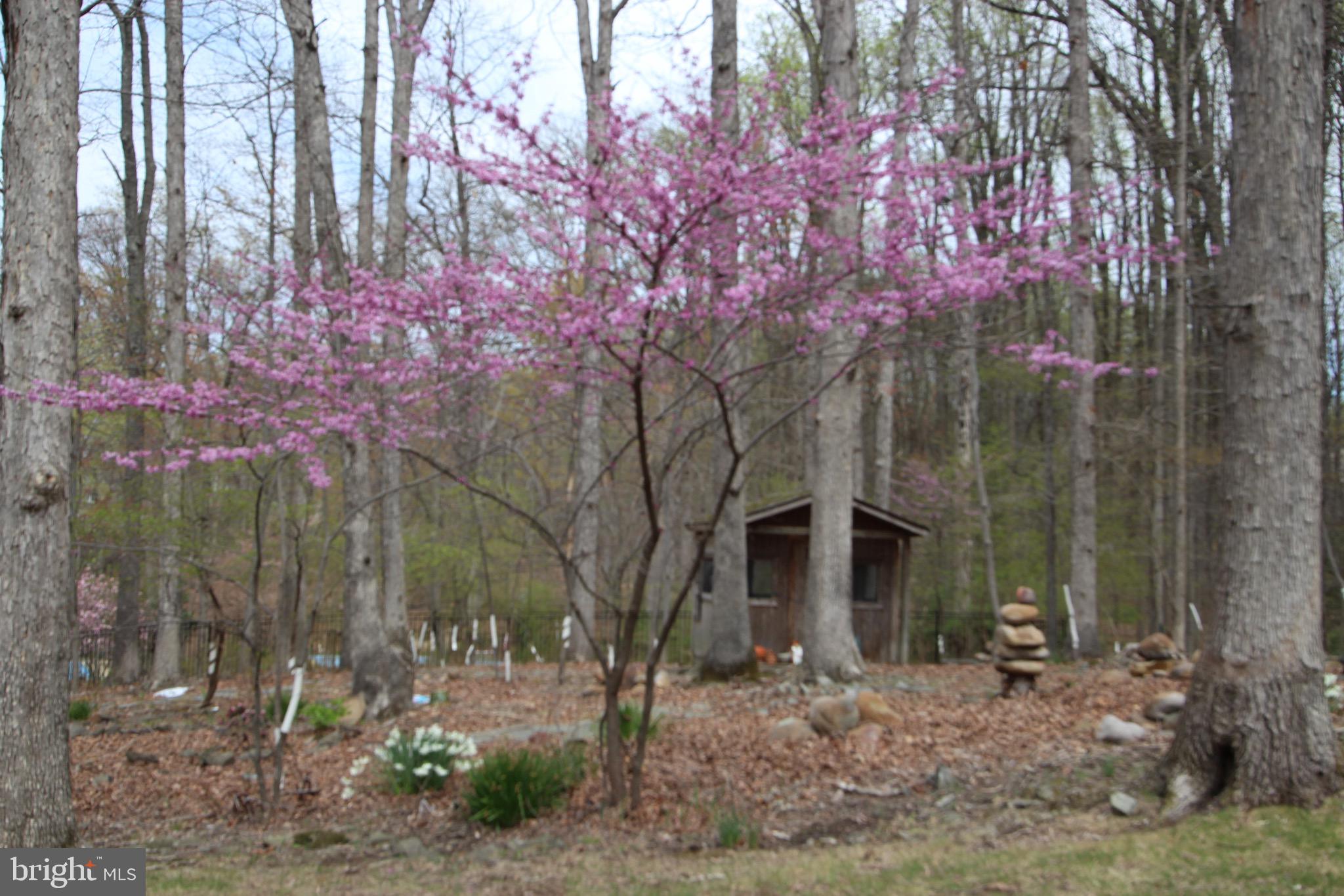 MILLER HEIGHTS - Residential