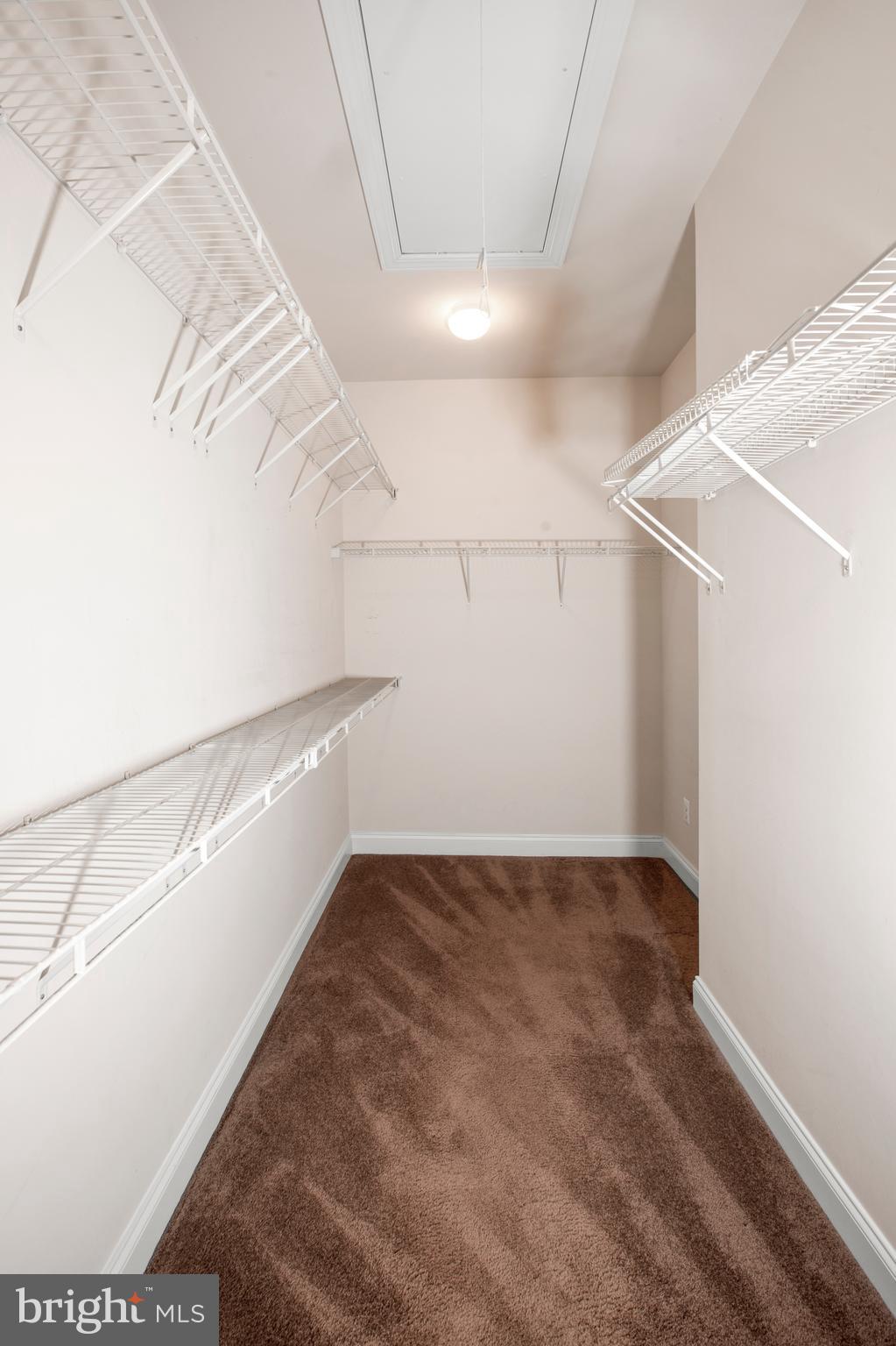 REGENCY AT DOMINION VALLEY - Residential