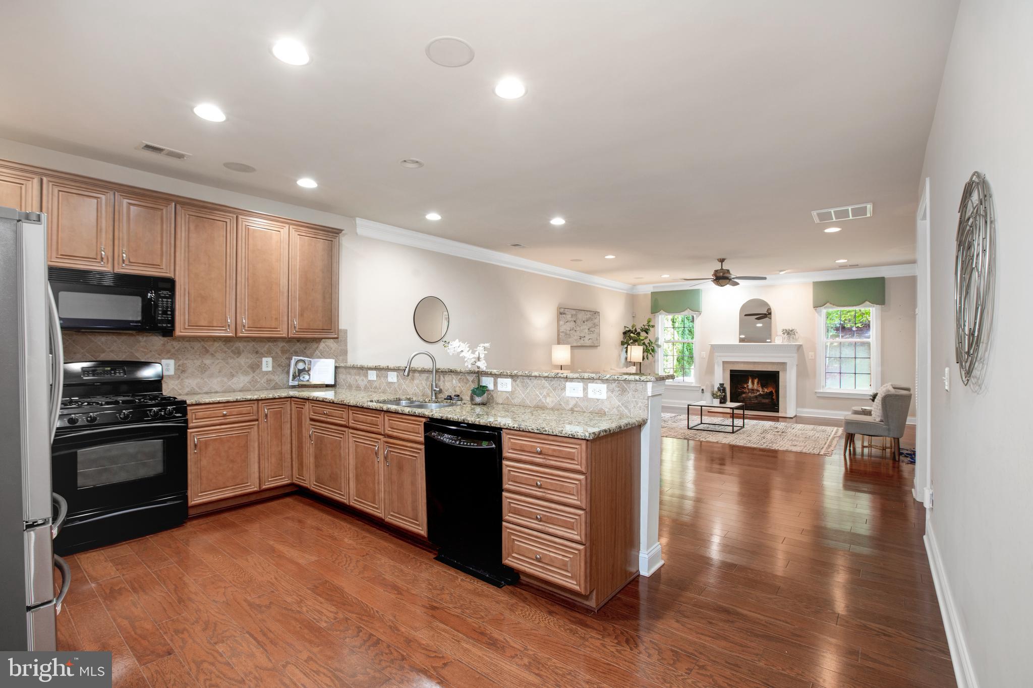 REGENCY AT DOMINION VALLEY - Residential