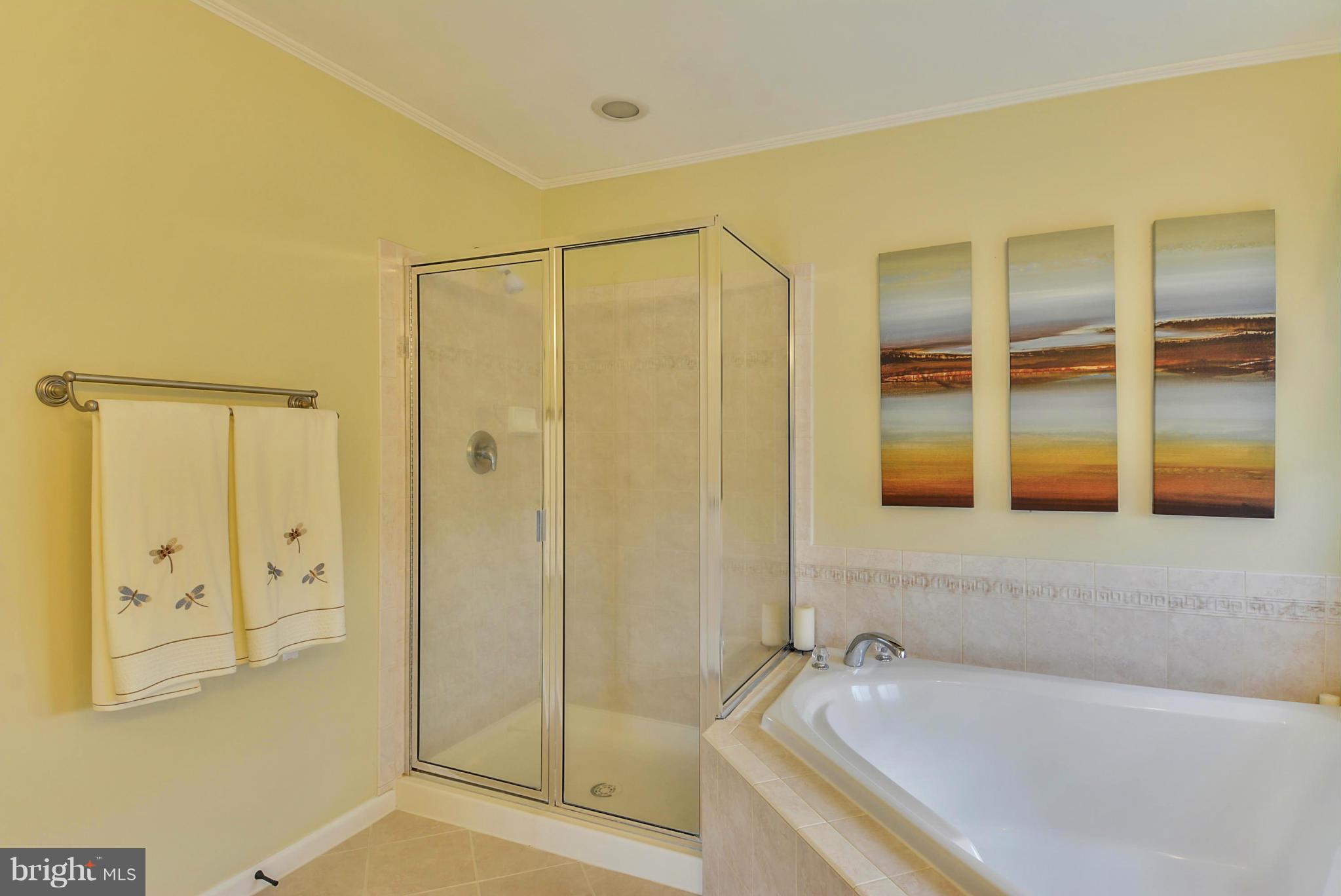 NEW TOWN MEADOWS - Residential