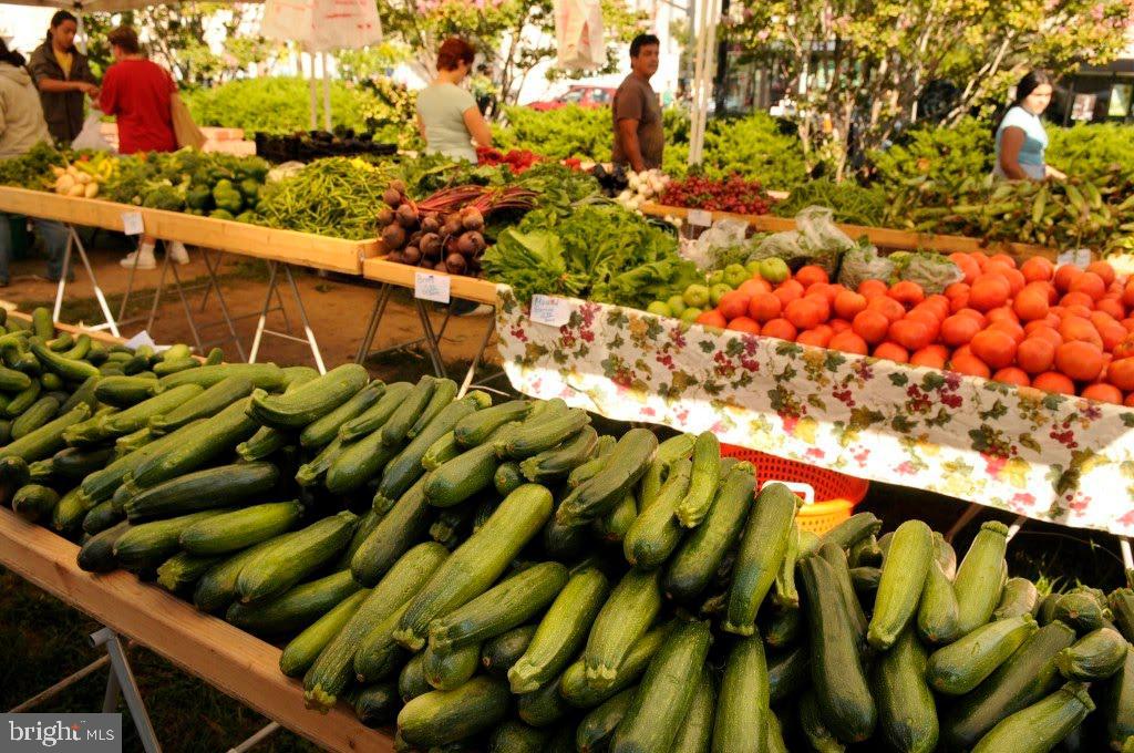 THE CARLTON - Residential Lease