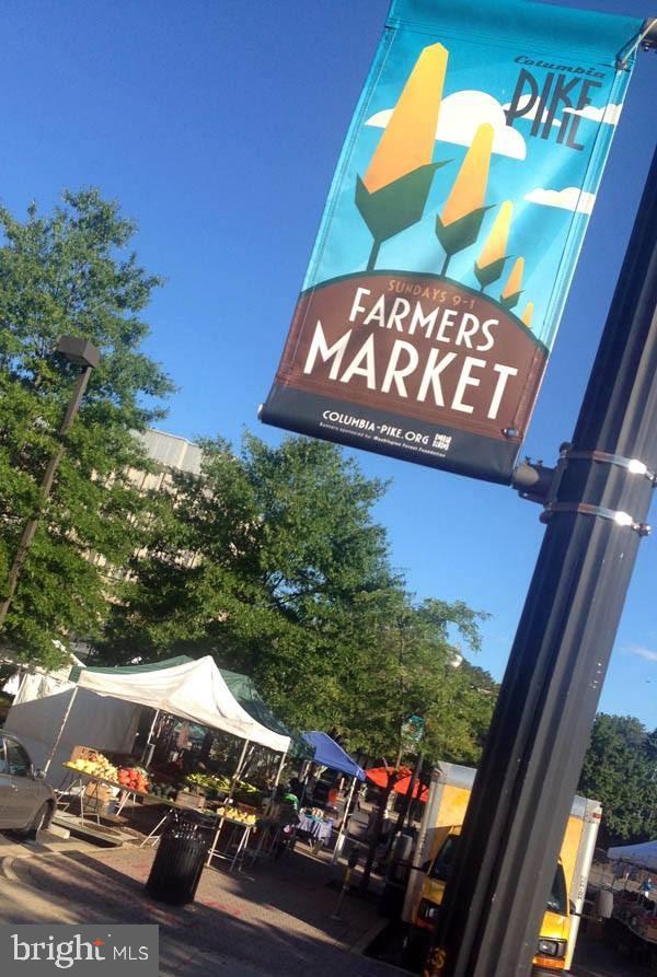 THE CARLTON - Residential Lease