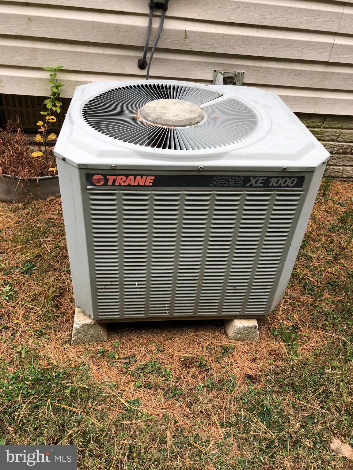 BUCKLEYS RESERVE - Residential Lease