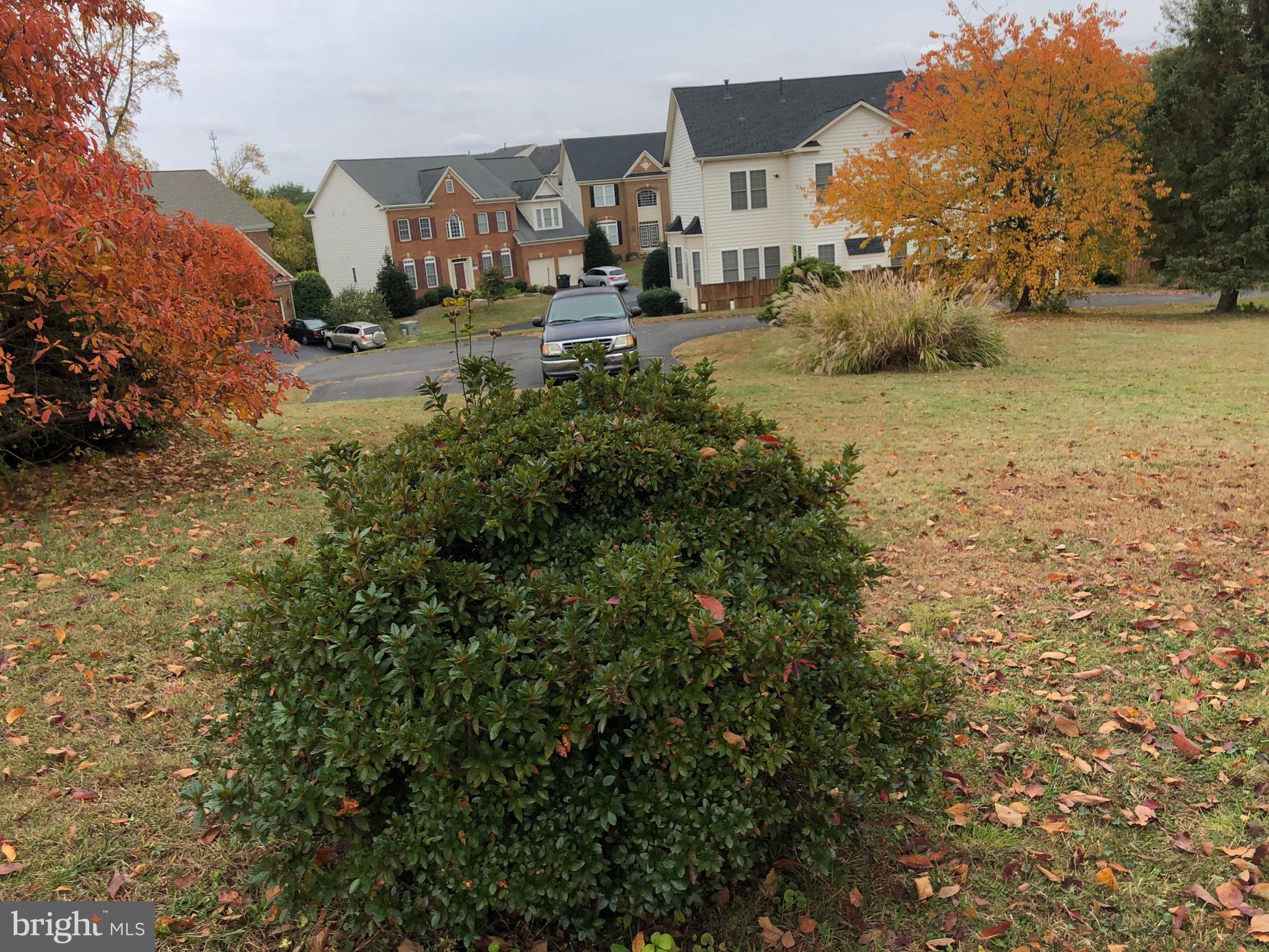 BUCKLEYS RESERVE - Residential Lease