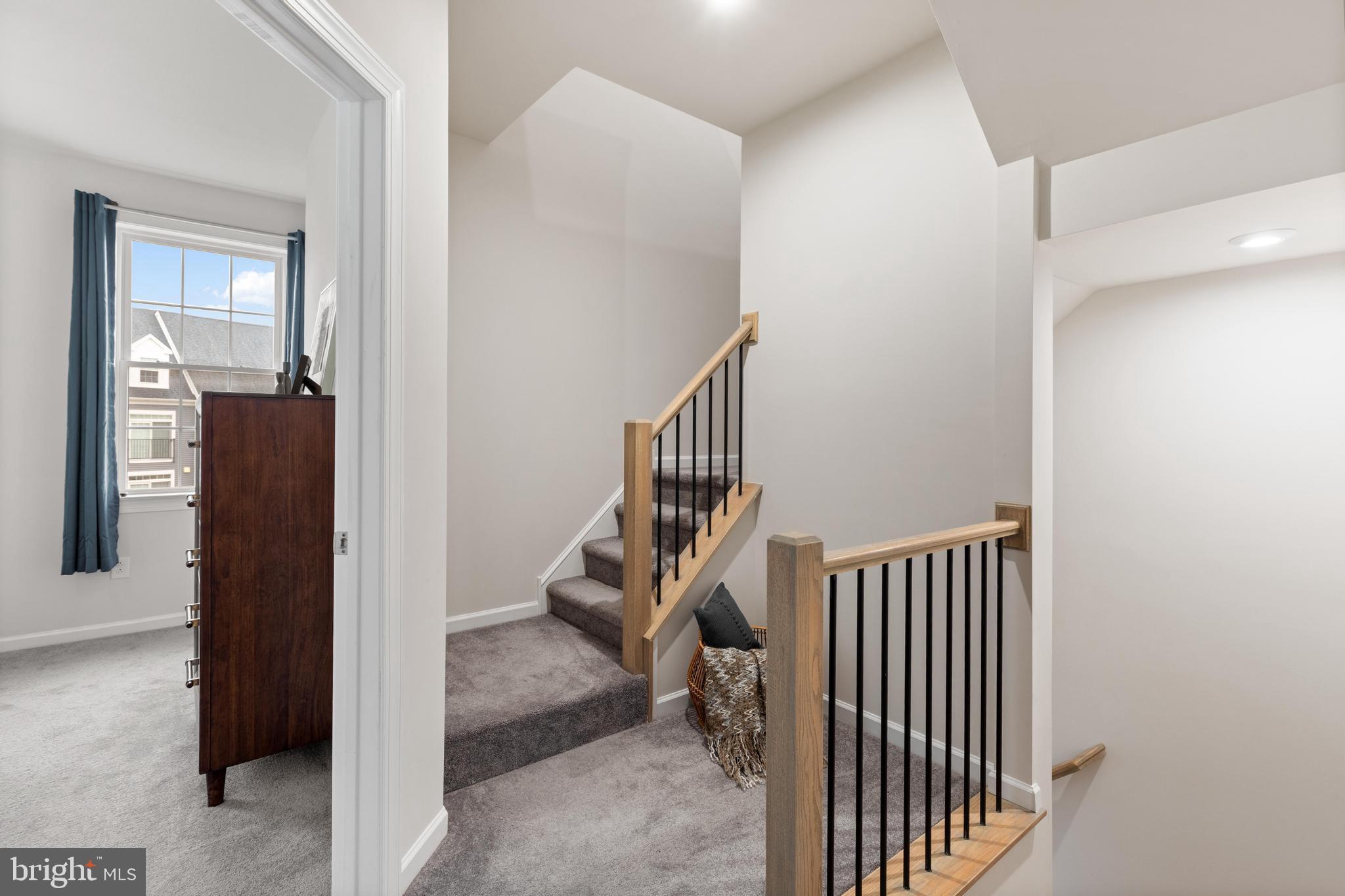 STEELPOINTE - Residential