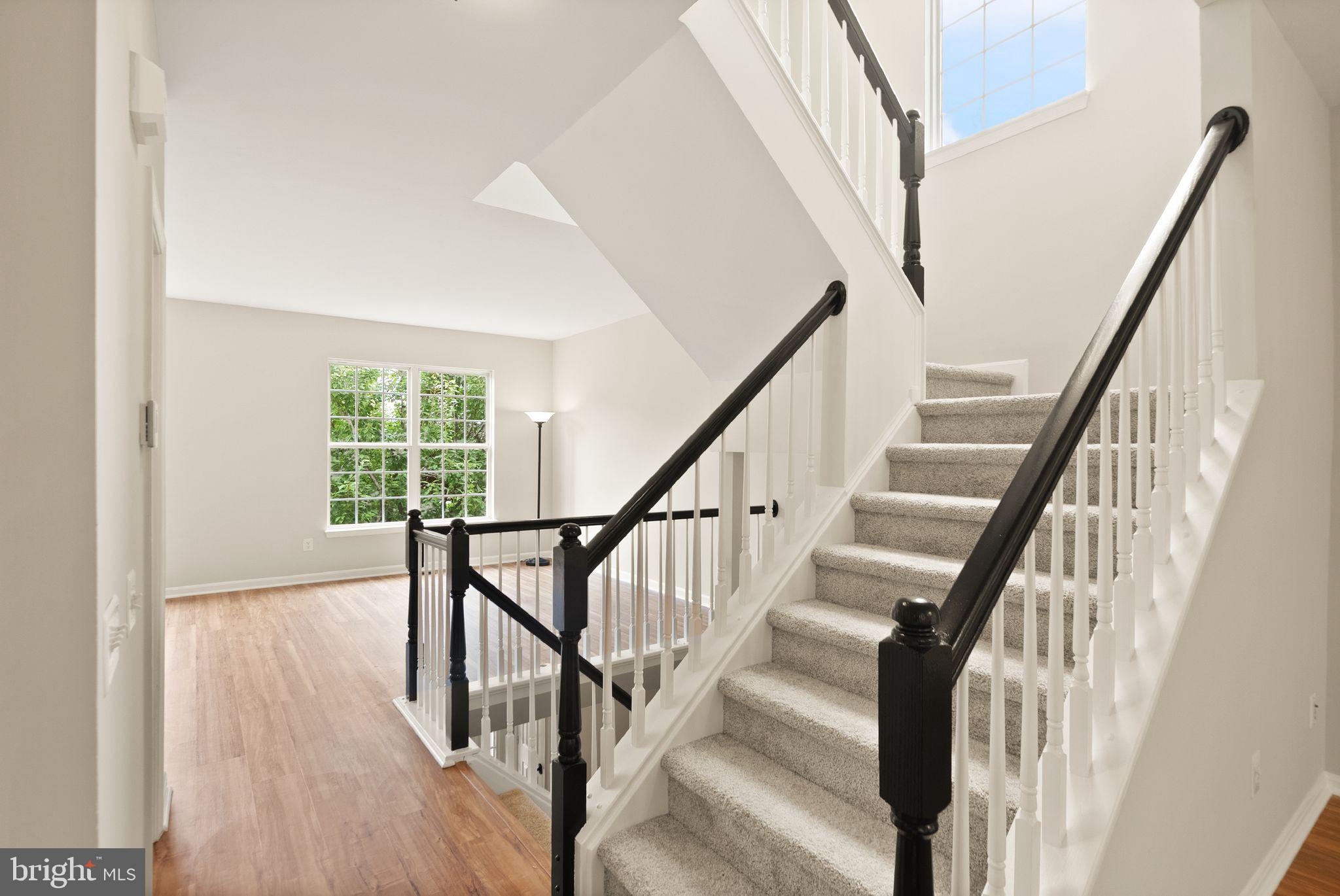 POTOMAC STATION - Residential