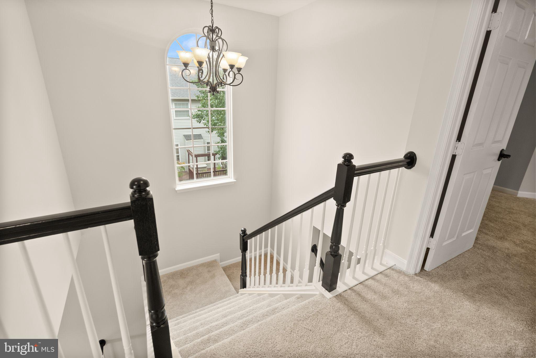 POTOMAC STATION - Residential