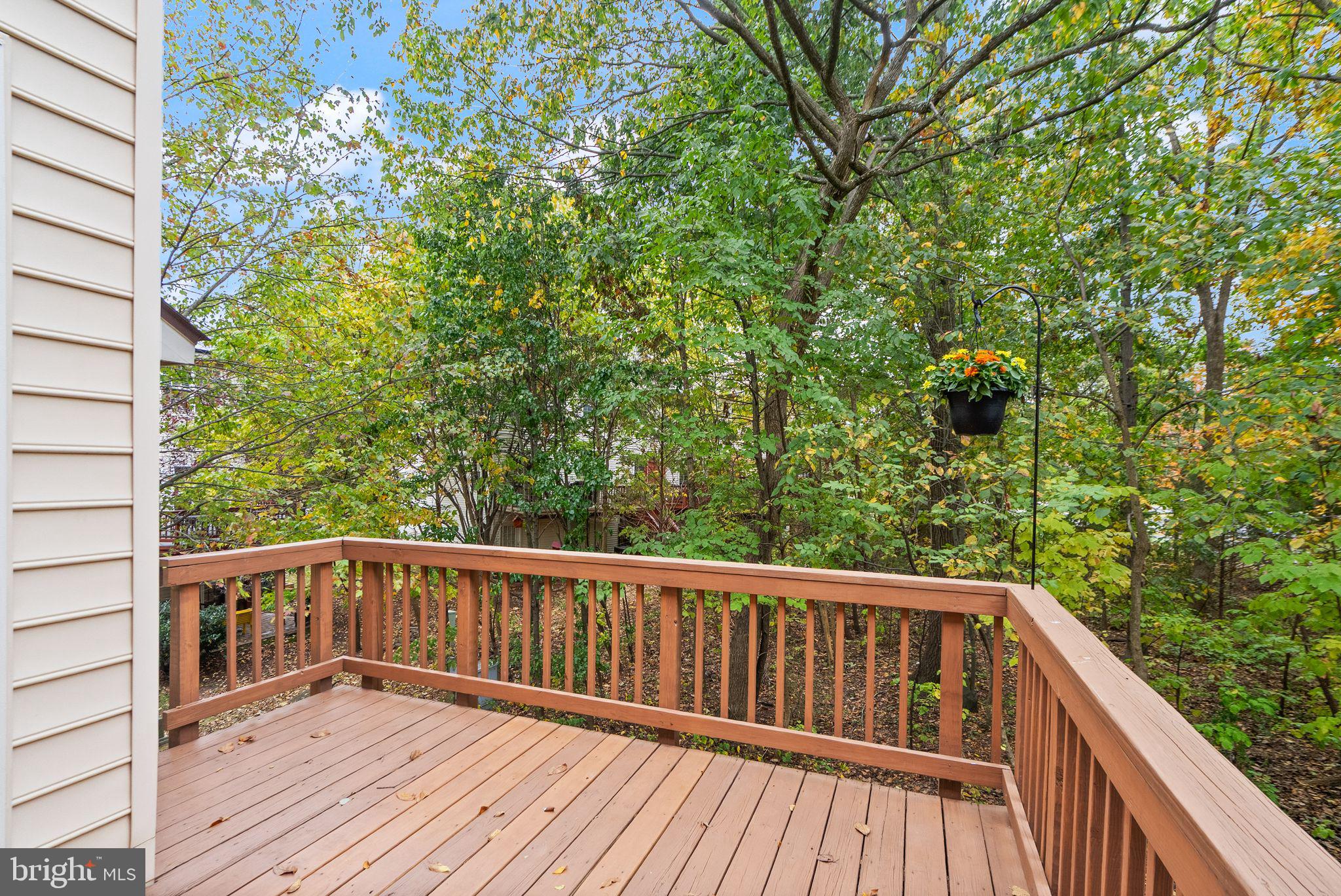 POTOMAC STATION - Residential