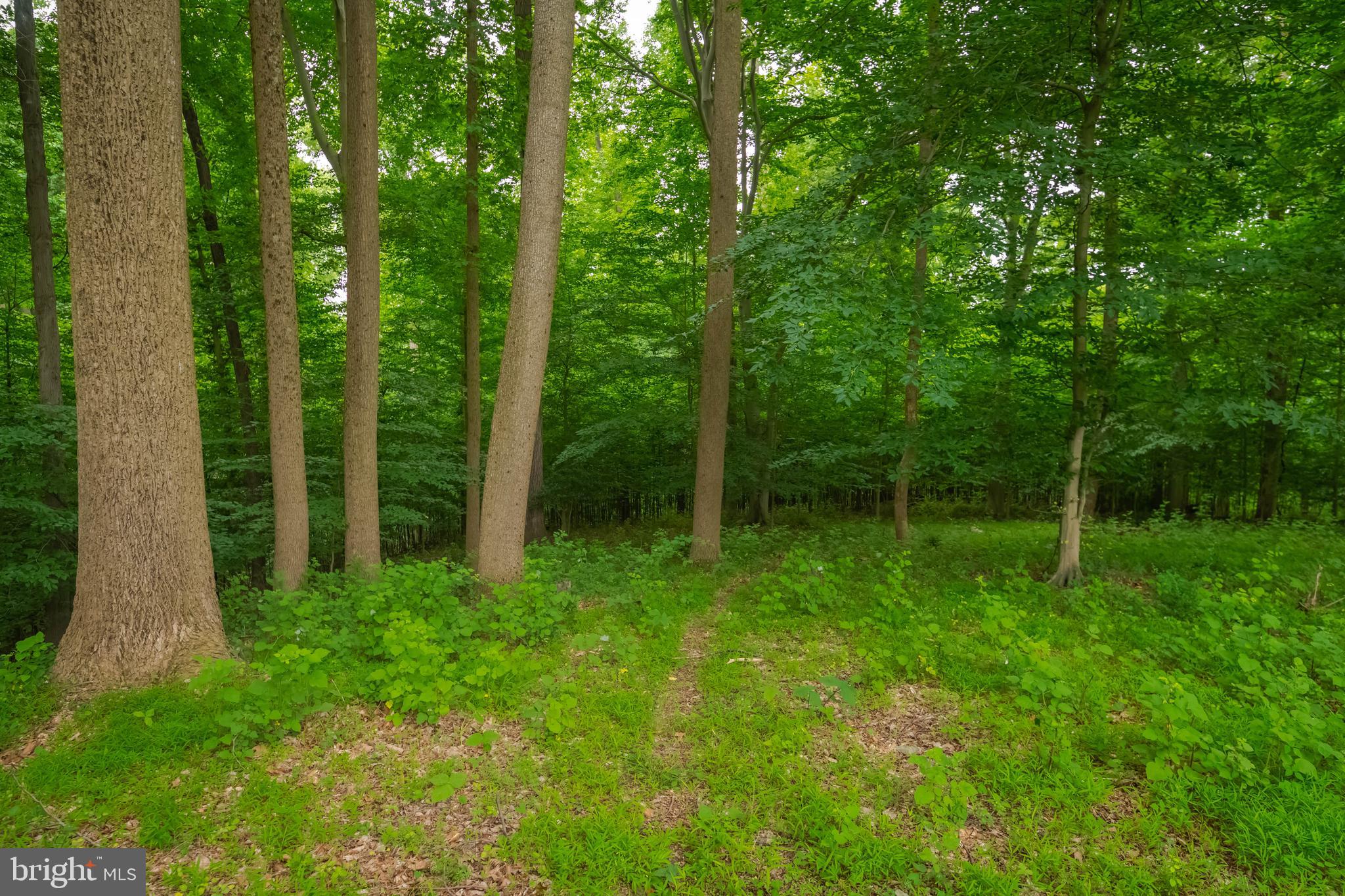 PLUMTREE ESTATES - Residential