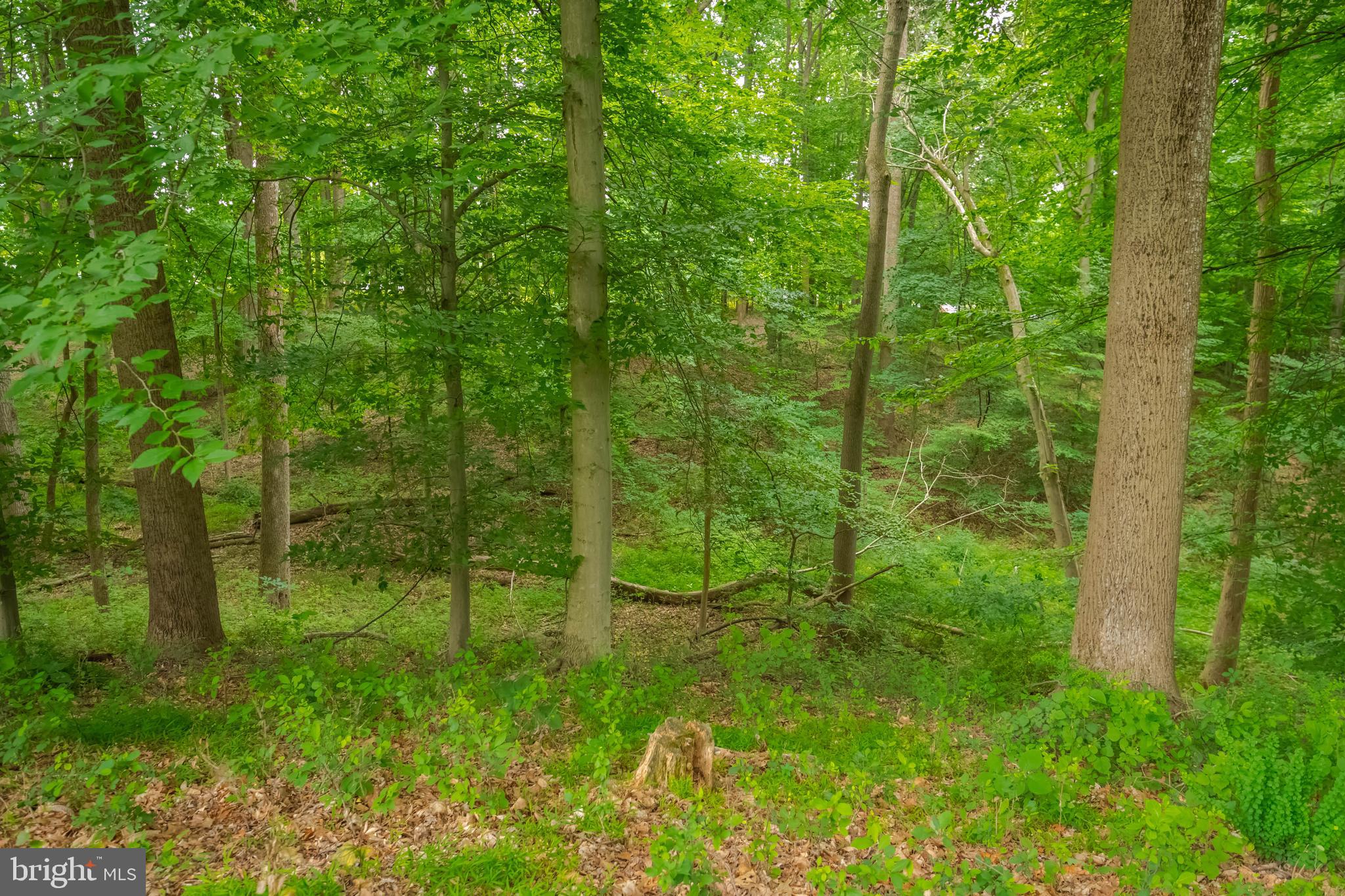 PLUMTREE ESTATES - Residential