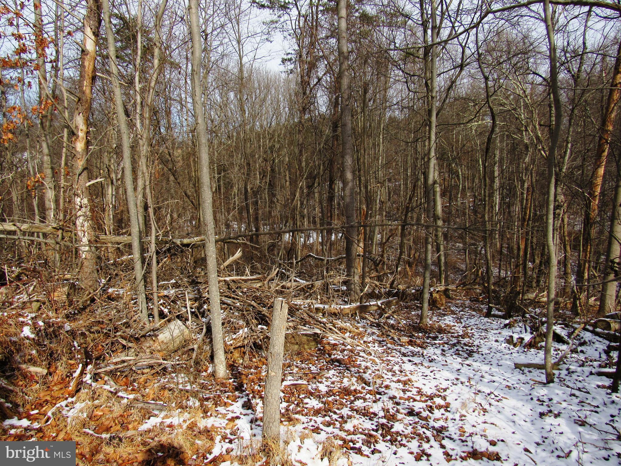 PARKTON - Residential