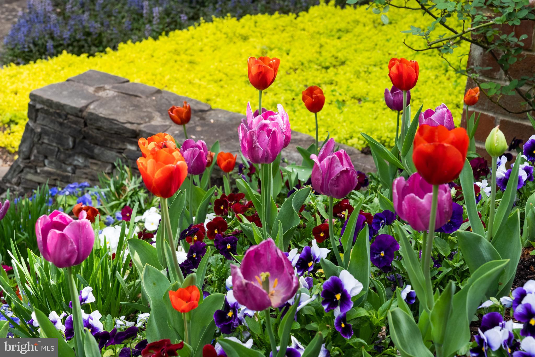 GREAT FALLS - Residential