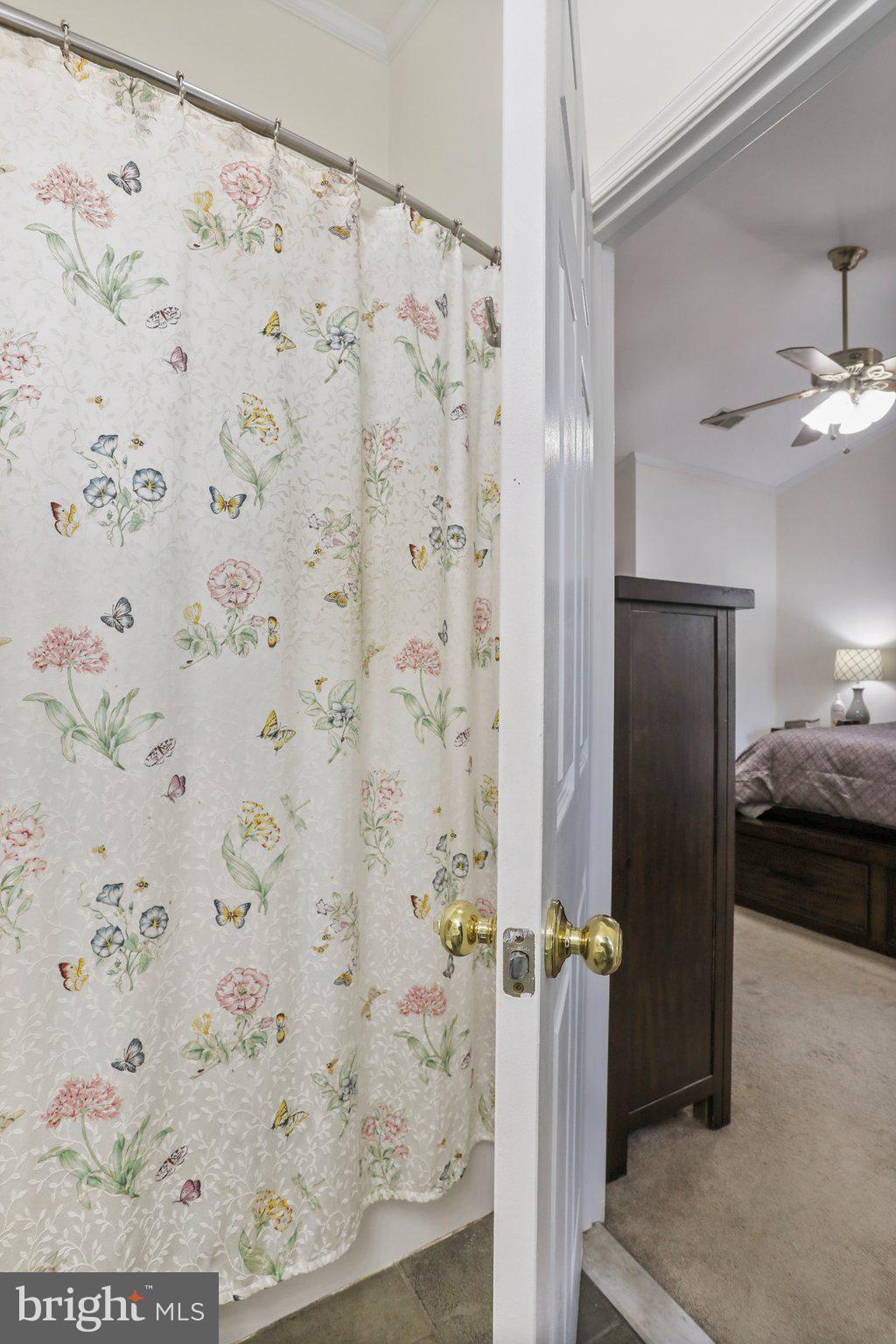 CLOVERLEAF - Residential