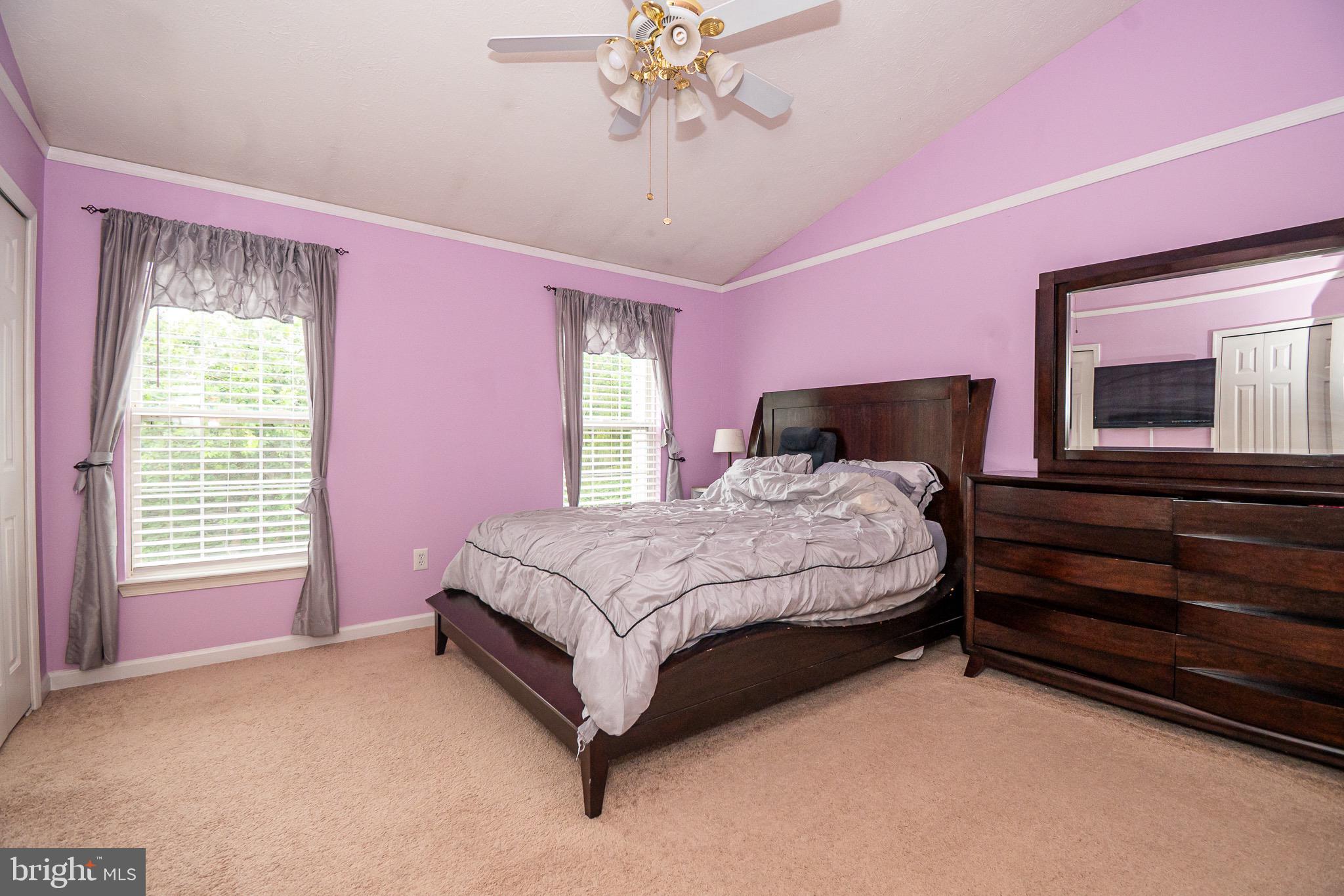 VILLAGE OF PAINTERS MILL - Residential