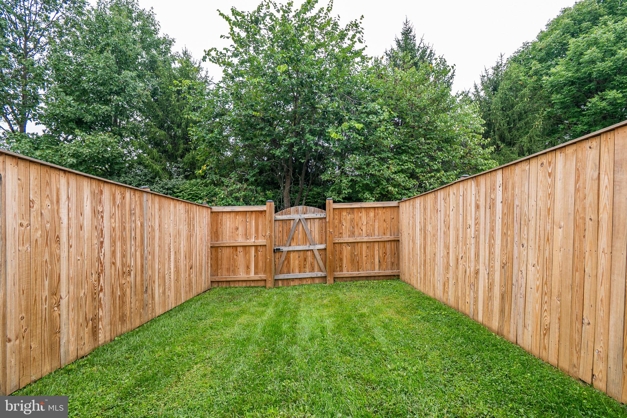 VILLAGE OF PAINTERS MILL - Residential