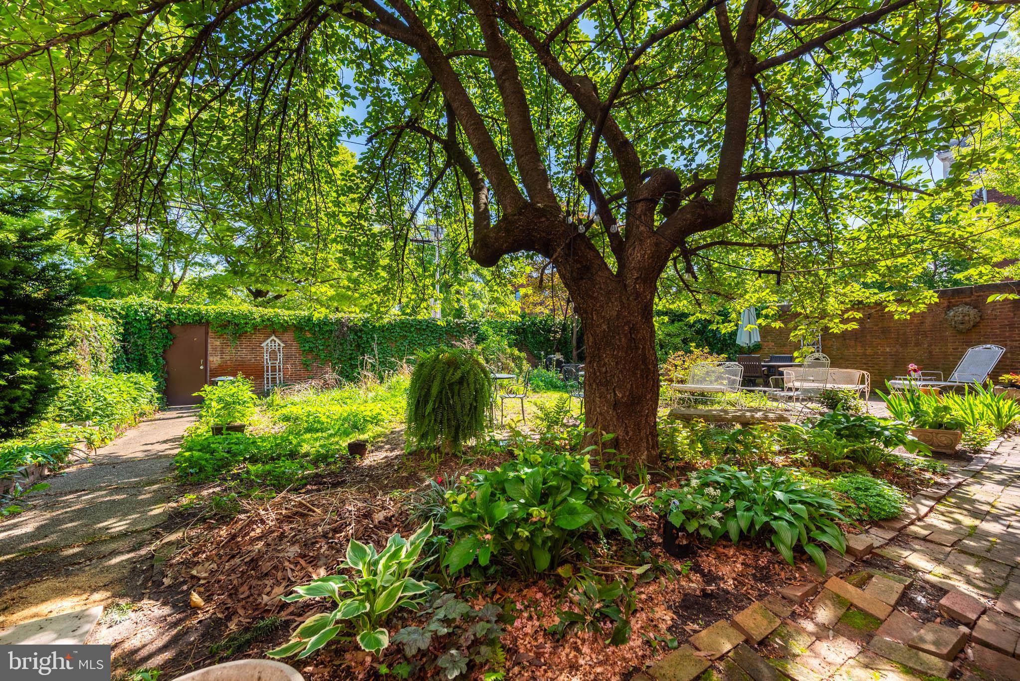 BOLTON HILL HISTORIC DISTRICT - Residential Income