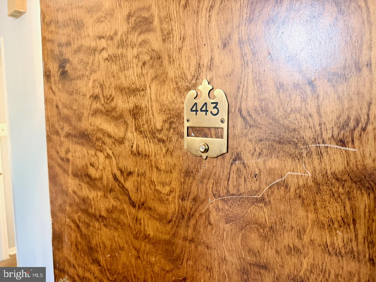 443 DRUMMERS LANE 443