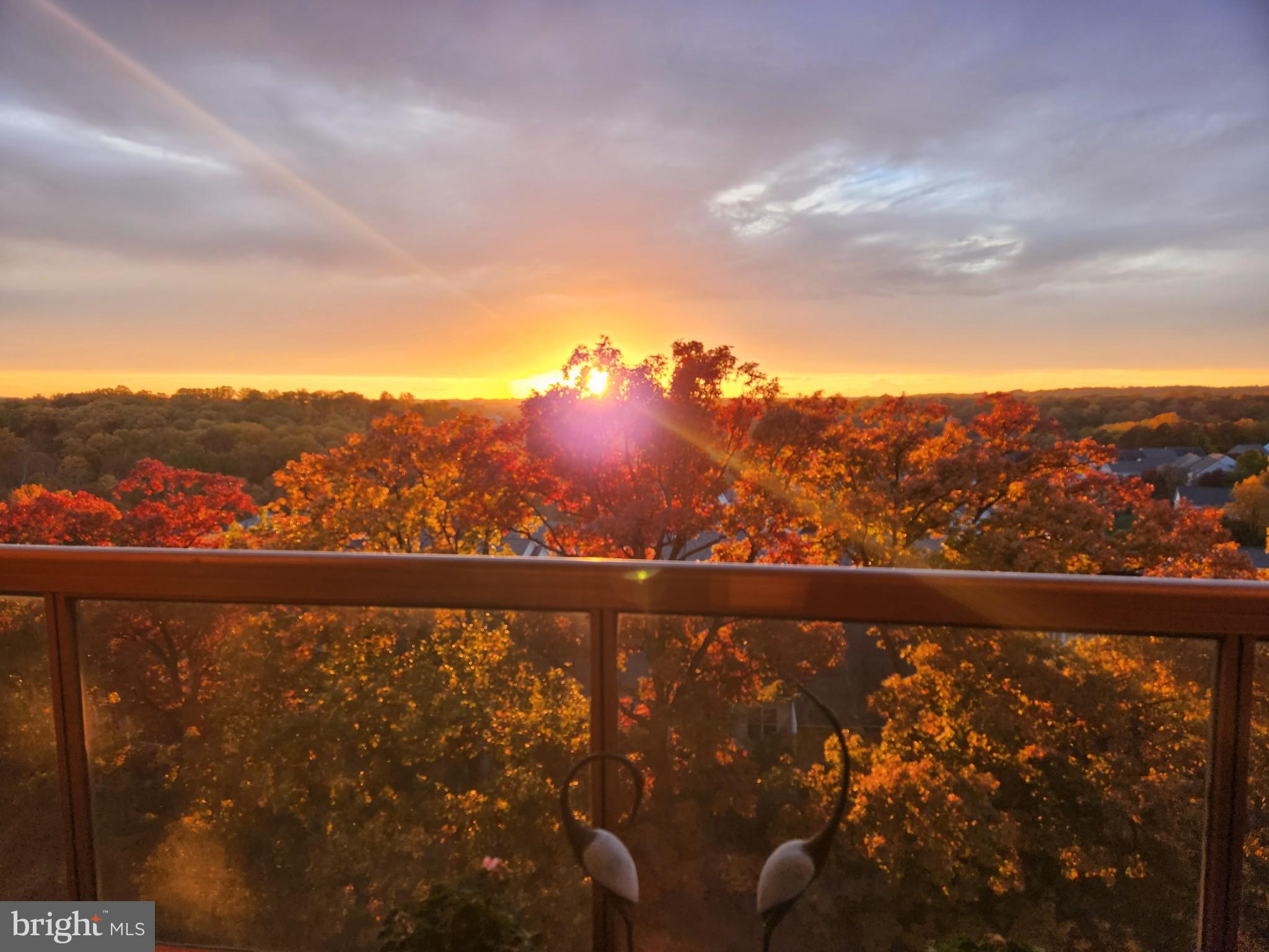 WATERGATE AT LANDMARK - Residential