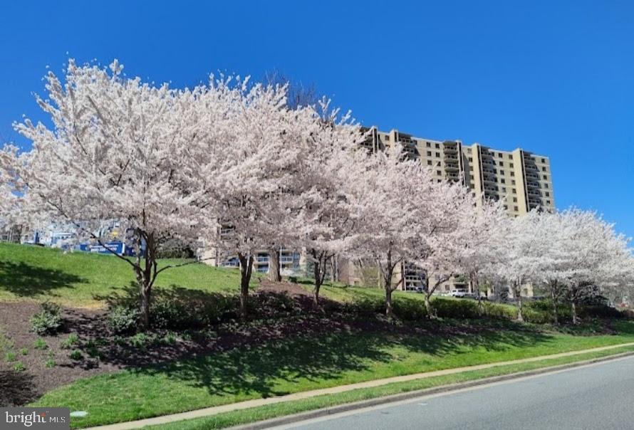 WATERGATE AT LANDMARK - Residential