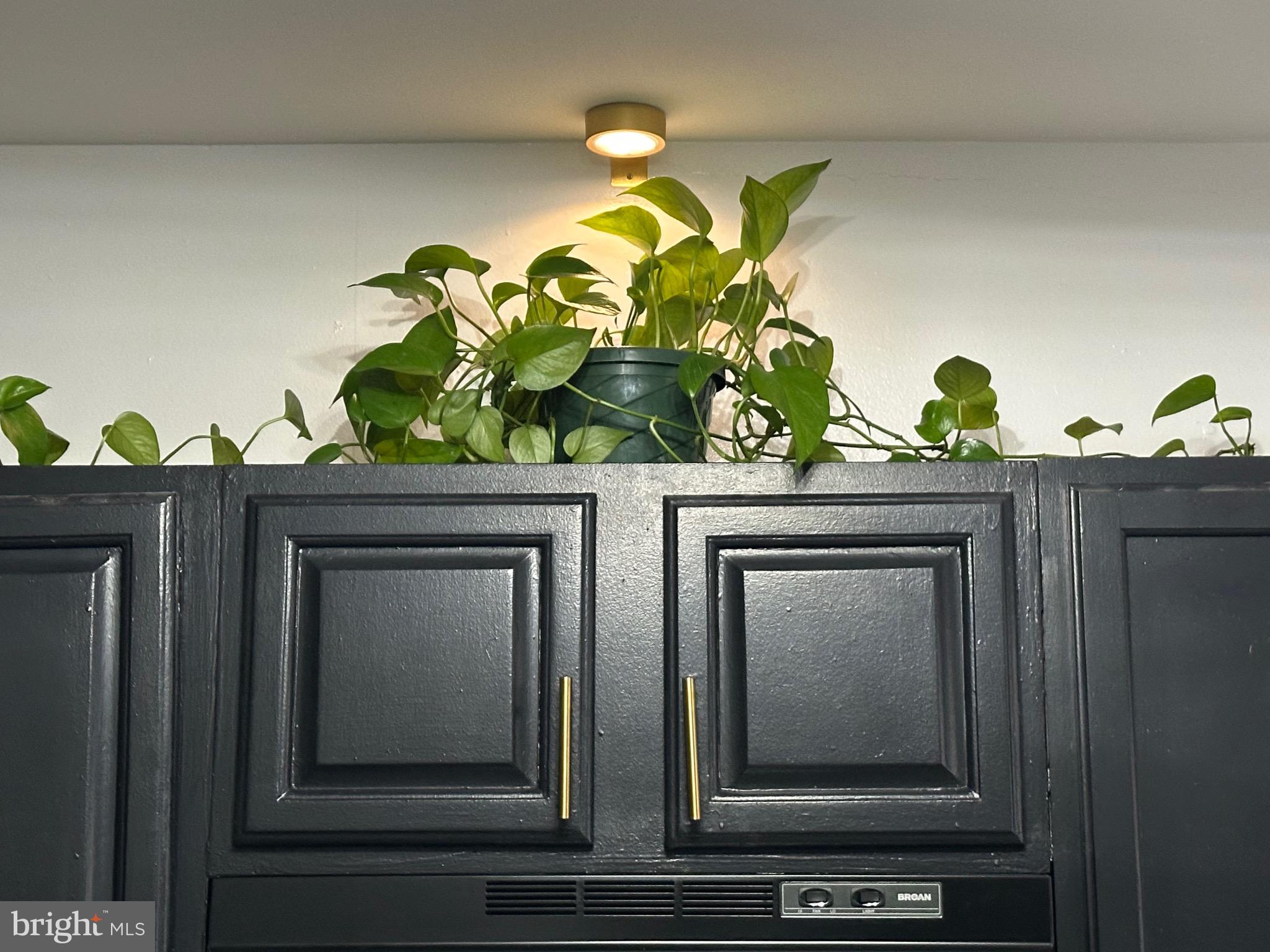 FELTONVILLE - Residential