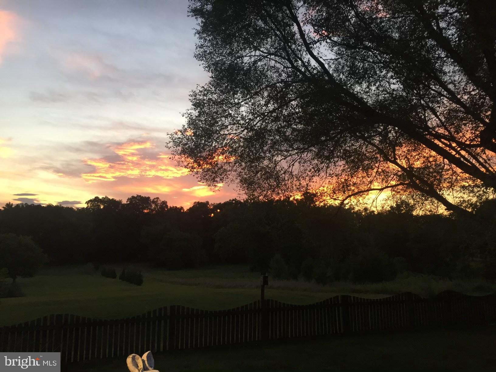 ORCHARD ON THE POTOMAC - Residential