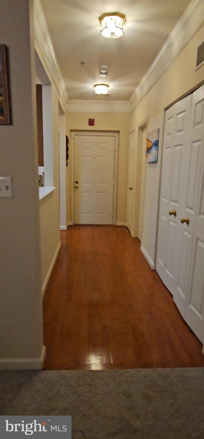 KINGSTOWNE - Residential Lease