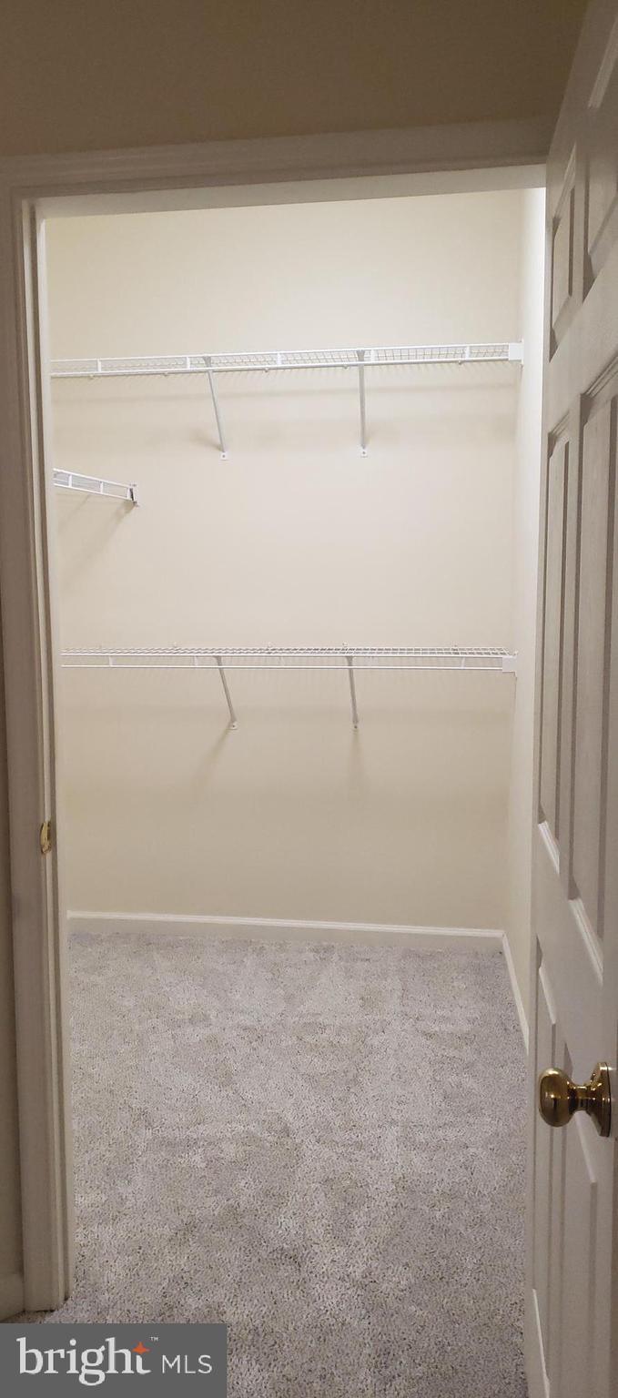 KINGSTOWNE - Residential Lease