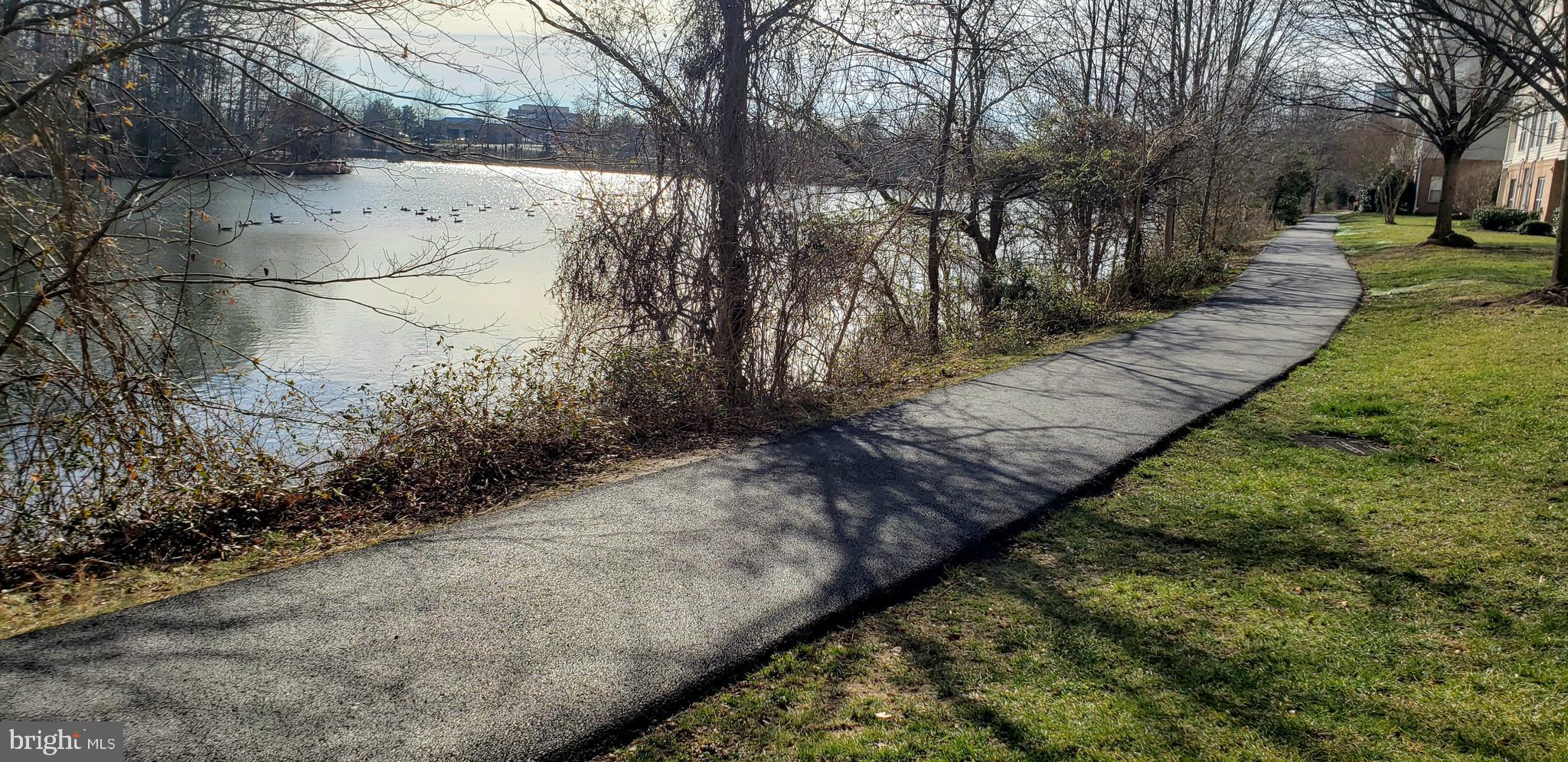 KINGSTOWNE - Residential Lease