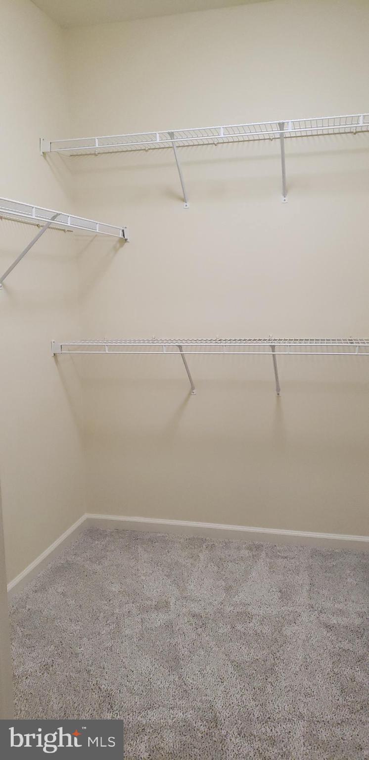 KINGSTOWNE - Residential Lease