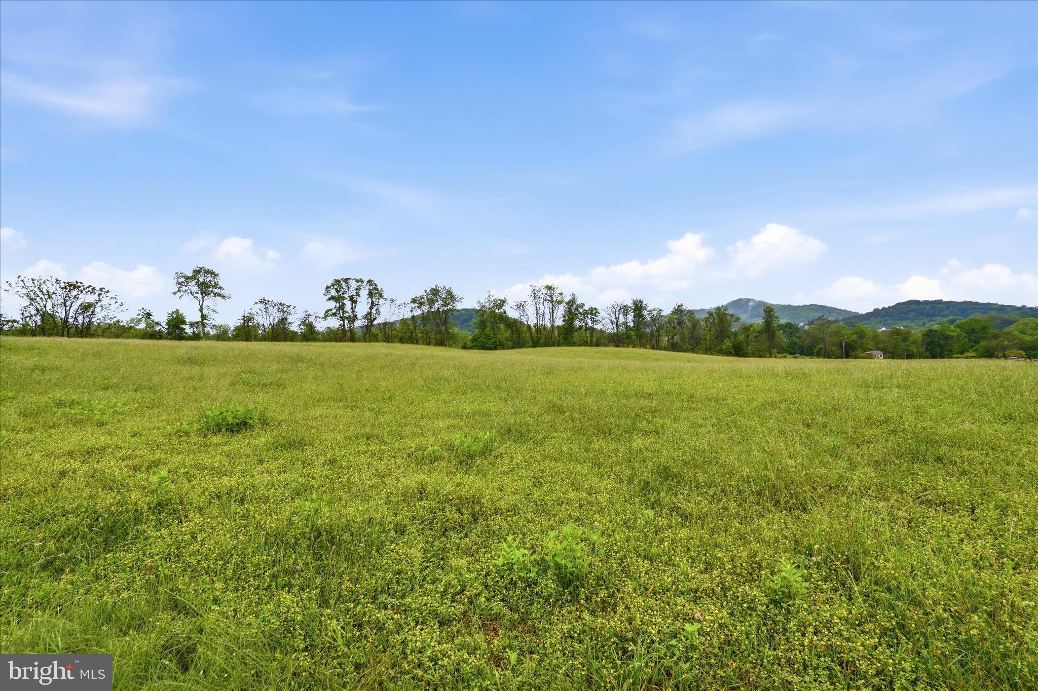 BOYDS MILL - Land