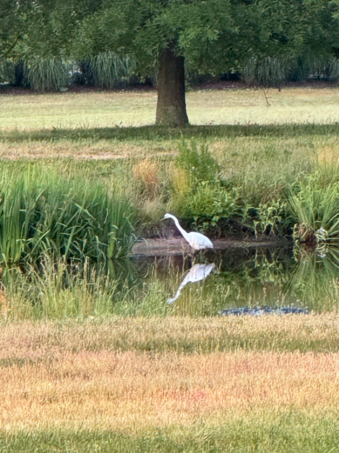 CANAL CORKRAN - Residential