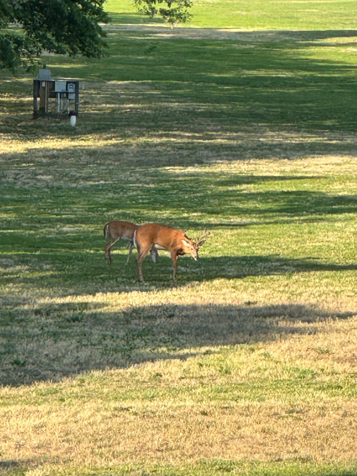 CANAL CORKRAN - Residential