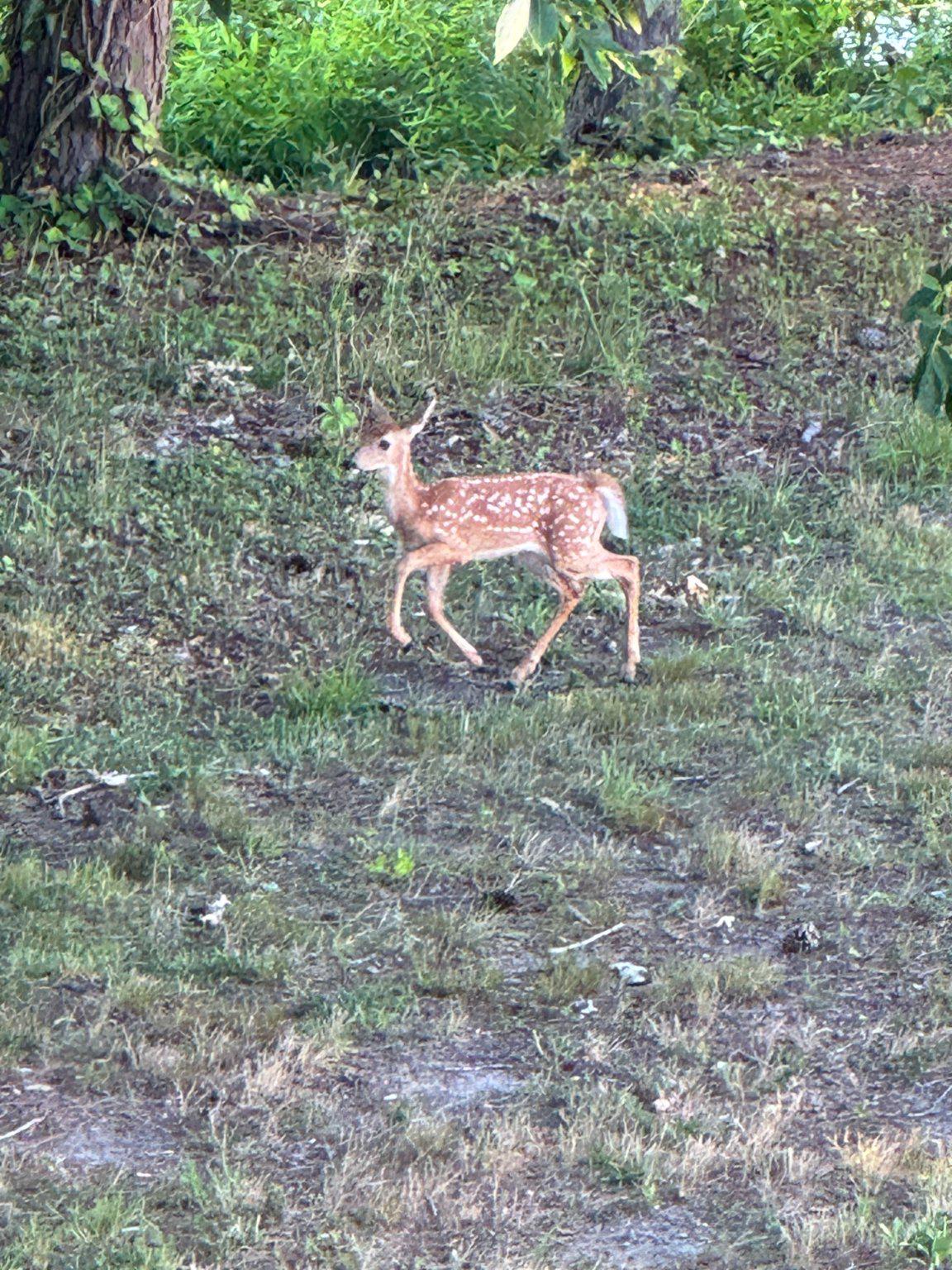 CANAL CORKRAN - Residential