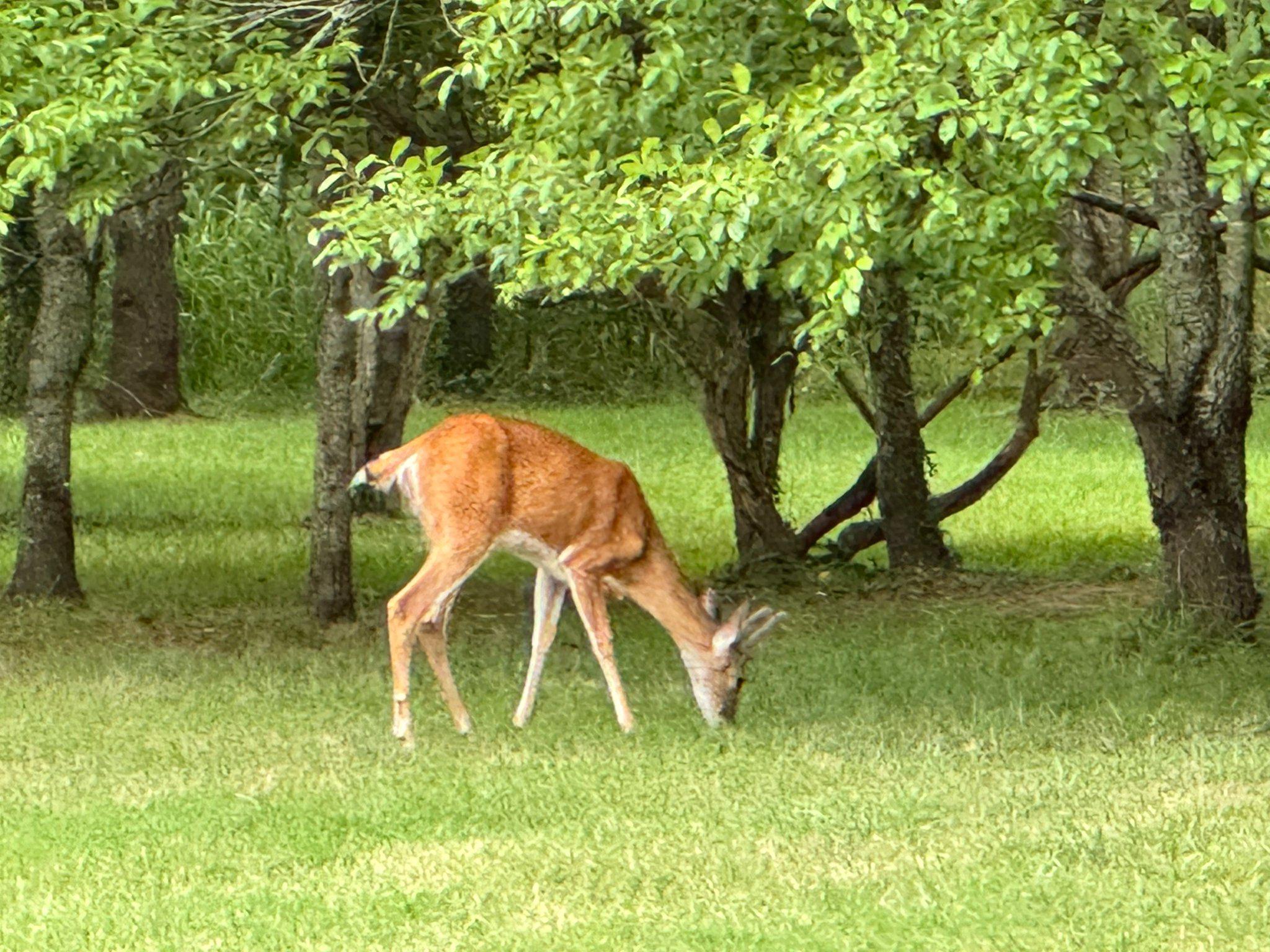 CANAL CORKRAN - Residential