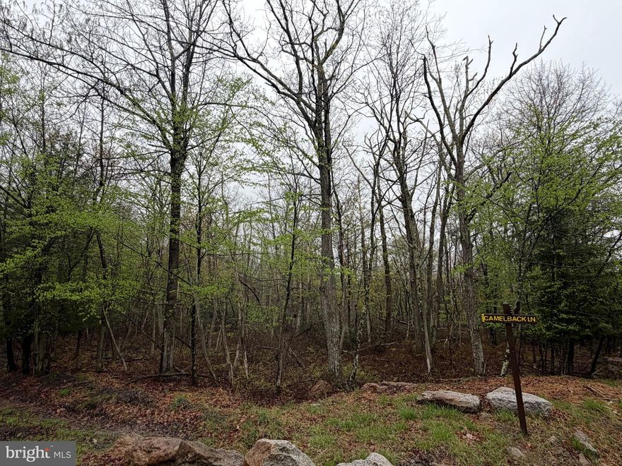 CORNER .61 acre building lot in the Cove Village Association.  This desirable location on the corner of Camelback and Haystack Drive also offers a buffer of wooded unused community land at the rear of the property making it feel larger than it is and allowing for extra privacy.   The adjoining lot at 570 Haystack is also available for purchase.  (see separate listing)  Situated in the foothills of the Poconos and only 1 1/2 hours to New York, this could be where you build your getaway or your forever home.  With easy access to I-81, your commute to Hazleton, Wilkes-Barre, or Scranton is a breeze.  Bring your own builder and let's make your dreams come true.   Your building costs are lower here since public water and sewer are already in place, ready for you to connect through Aqua of Pa.  Do you desire a cabin or home where you can hunt, fish, ATV, snowmobile, and more?  How does approximately 750 acres of unoccupied prime hunting, ATV, and snowmobile riding land sound to you?  Yes, that's right!  Adjoining the residential portion of Cove Village is just that for residents of the community and their guests!  Driving through the community, the peace and tranquility will envelop you.  The homes vary from rustic cabins, chalets, traditional ranch, two-story homes, exquisite new construction, and even dreamy mountain log homes.  There really is something for everyone.  The approximately 278 acres of residential homes and lots are occupied by full-time residents, part-time vacation homes, and even some snowbird second homes.  Cove Village is located in the mountains of Northeastern Pennsylvania and offers an abundance of amenities including a swimming pool, stocked fishing lake, a basketball court, tennis courts, a volleyball court, 2 playgrounds, a baseball field, ATV paths, hunting, a mini golf course, walking paths, and year-round Community events.  I can't forget to mention the beautiful lodge ideal to rent for family gatherings.   This lot and community just might be exactly what you've been looking for.  Air B and B are not permitted. Camping on vacant lots is not permitted.  Mobile homes are not permitted.  The minimum square footage when building is 1400 square feet.  The community maintains the roads and snow removal.  Trash collection is also provided.   An appointment is required to view due to the gated community and buyer's MUST be accompanied by a realtor.  Call to schedule your tour today!