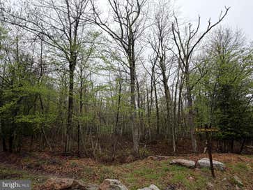 571 HAYSTACK DRIVE ZION GROVE PA 17985