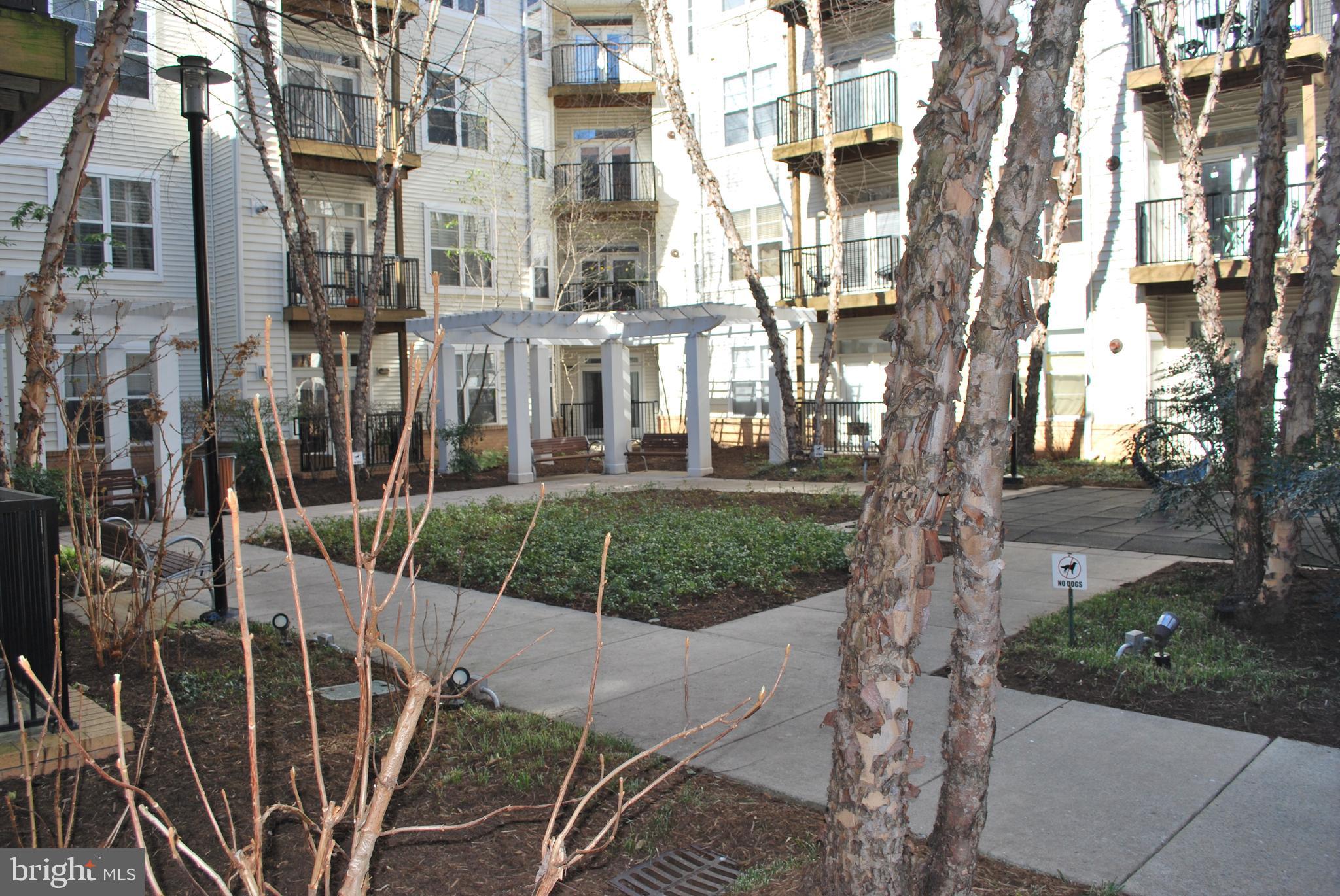 SILVERTON CODM - Residential