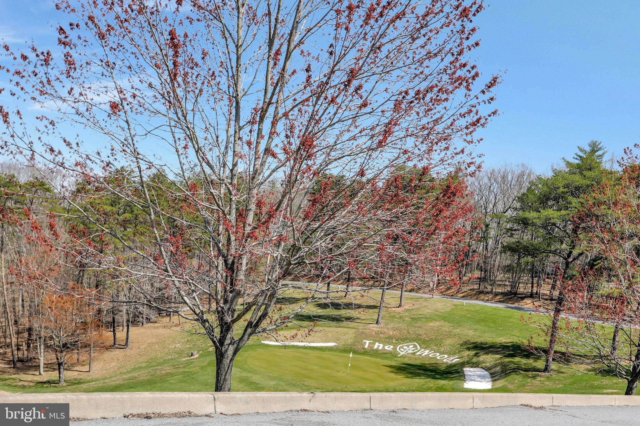 THE WOODS RESORT - Residential