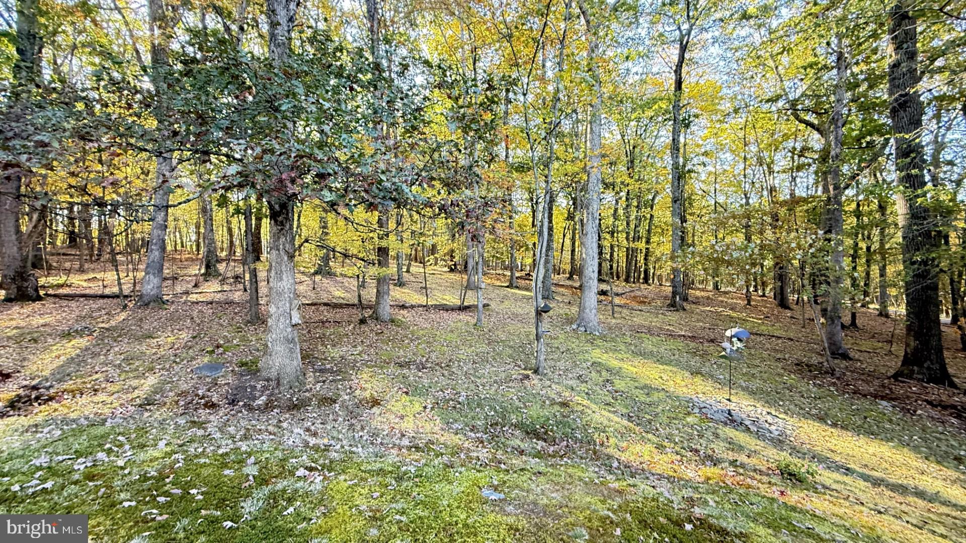 POCONO MOUNTAIN LAKE ESTATES - Residential