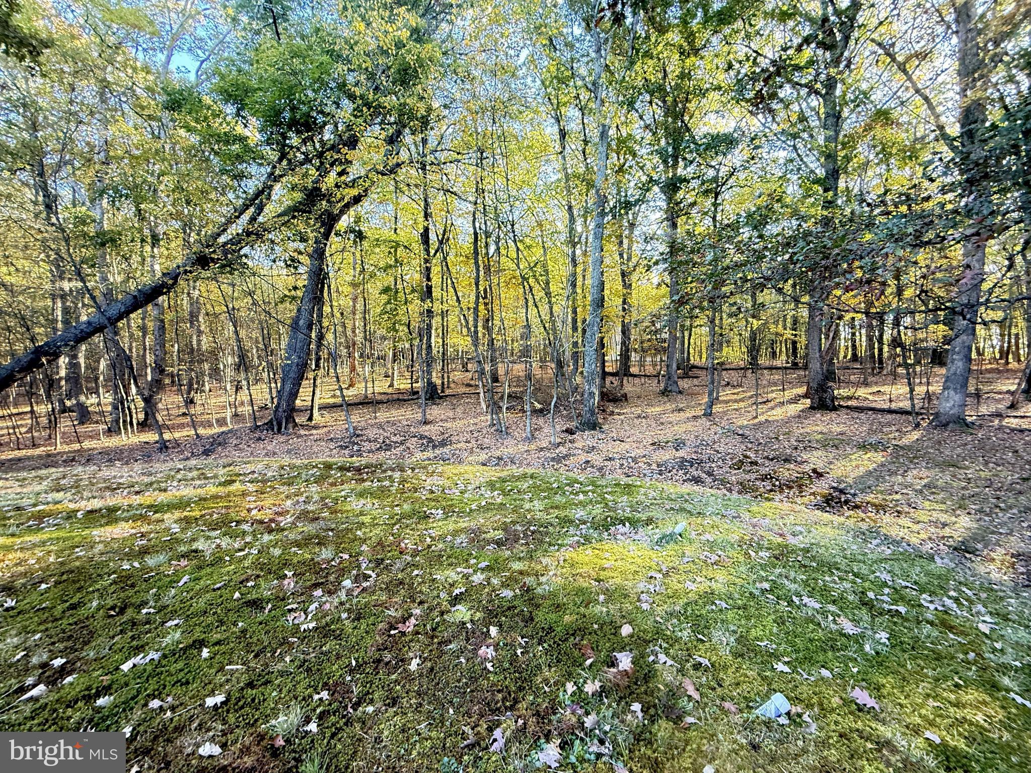 POCONO MOUNTAIN LAKE ESTATES - Residential