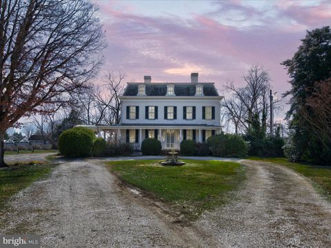 29299 MAPLE AVENUE TRAPPE MD 21673