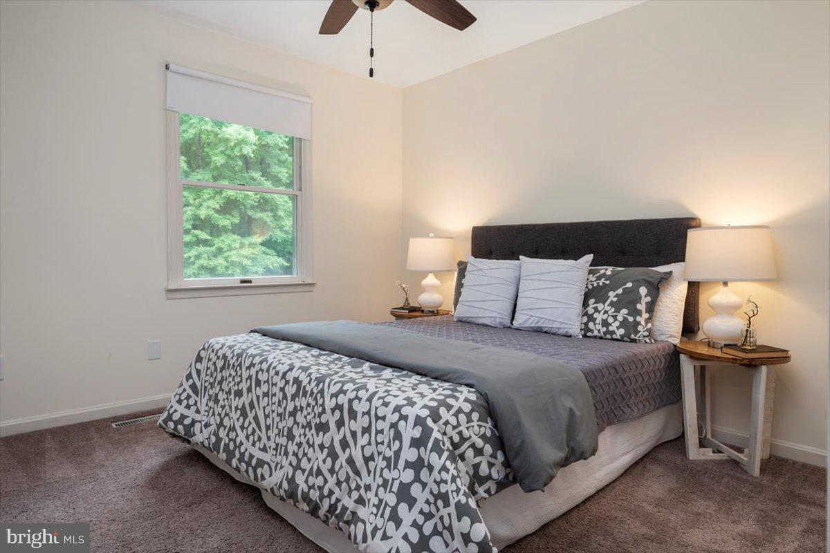 VENTNOR FOREST - Residential