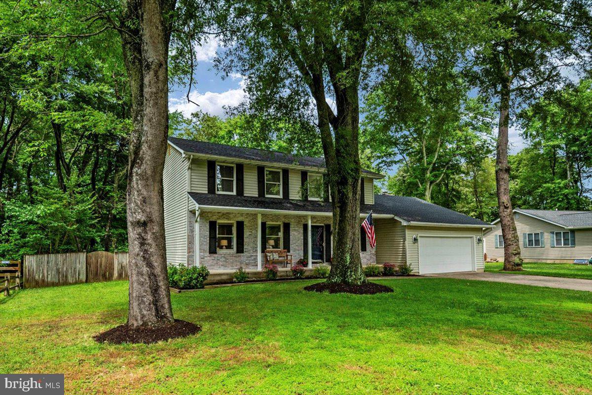 VENTNOR FOREST - Residential