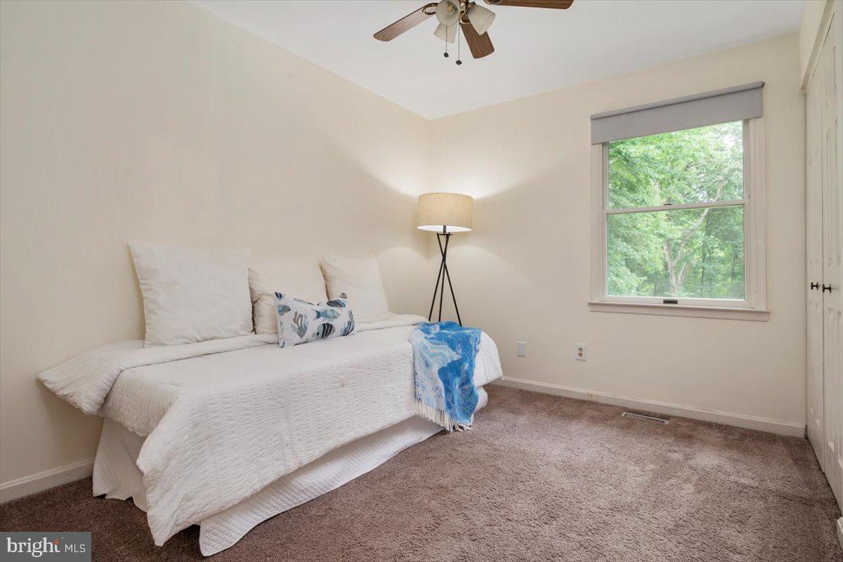 VENTNOR FOREST - Residential