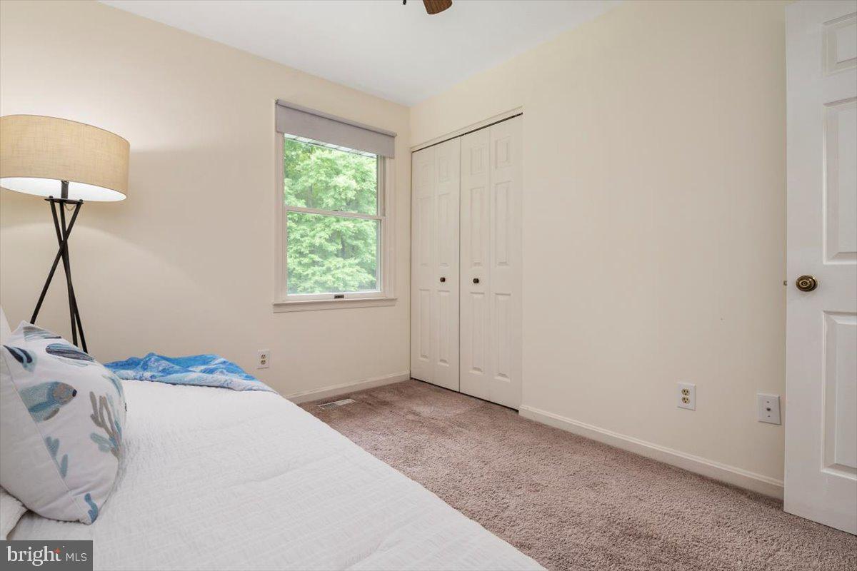 VENTNOR FOREST - Residential