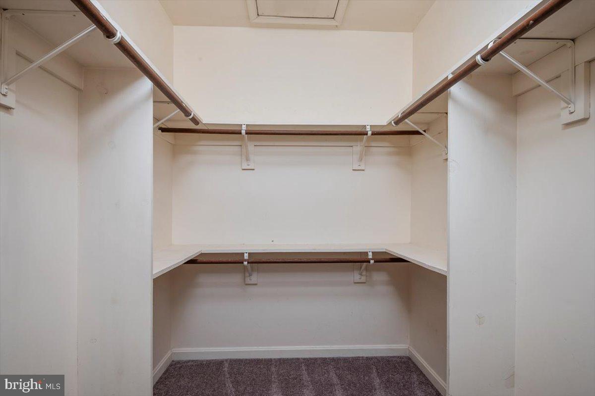 VENTNOR FOREST - Residential