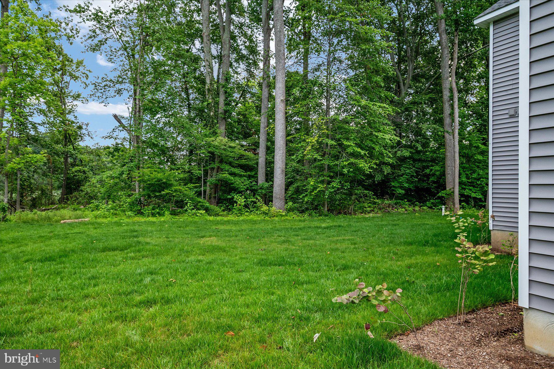 HOLLAND POINT - Residential