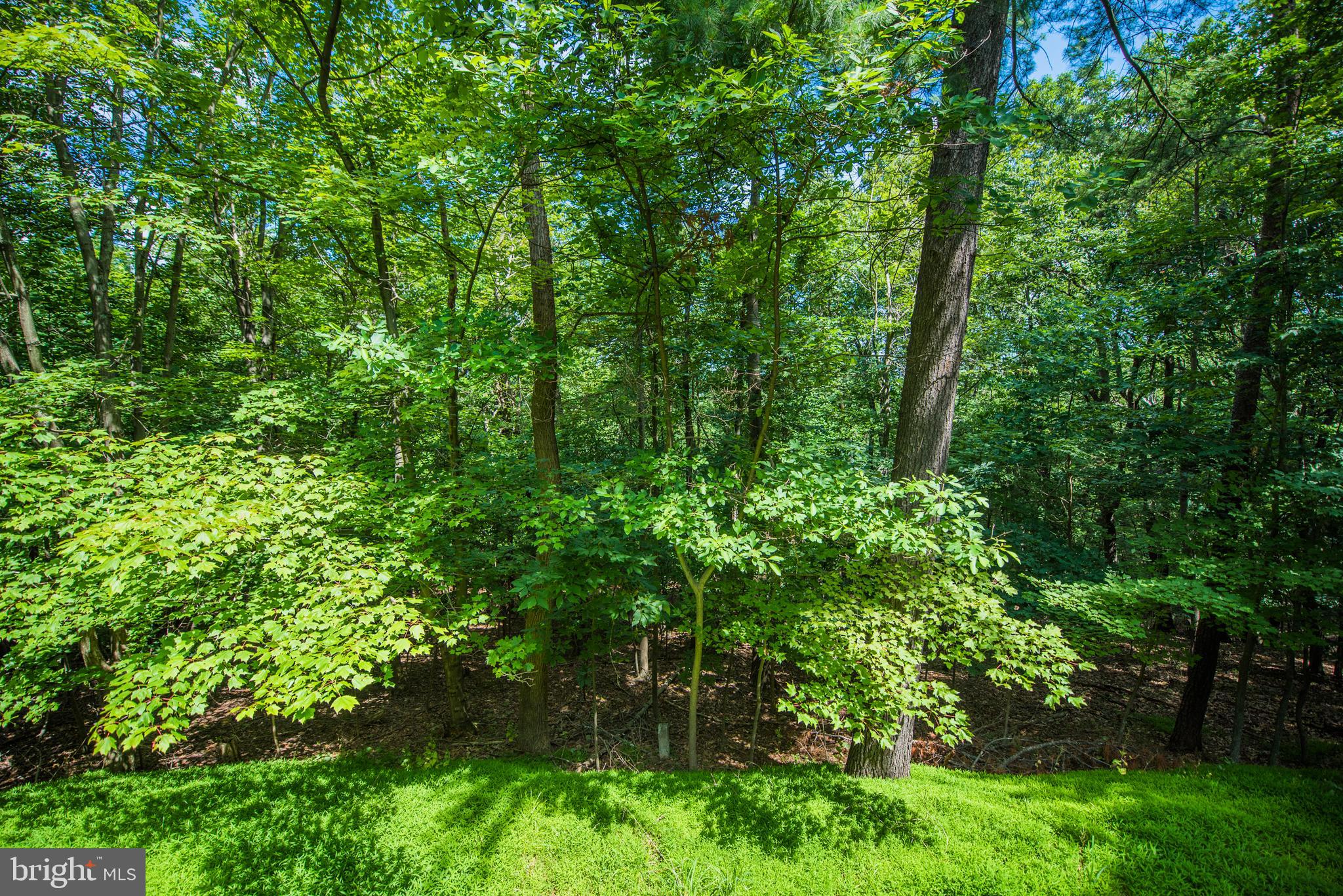 CRESSEN RUN - Residential