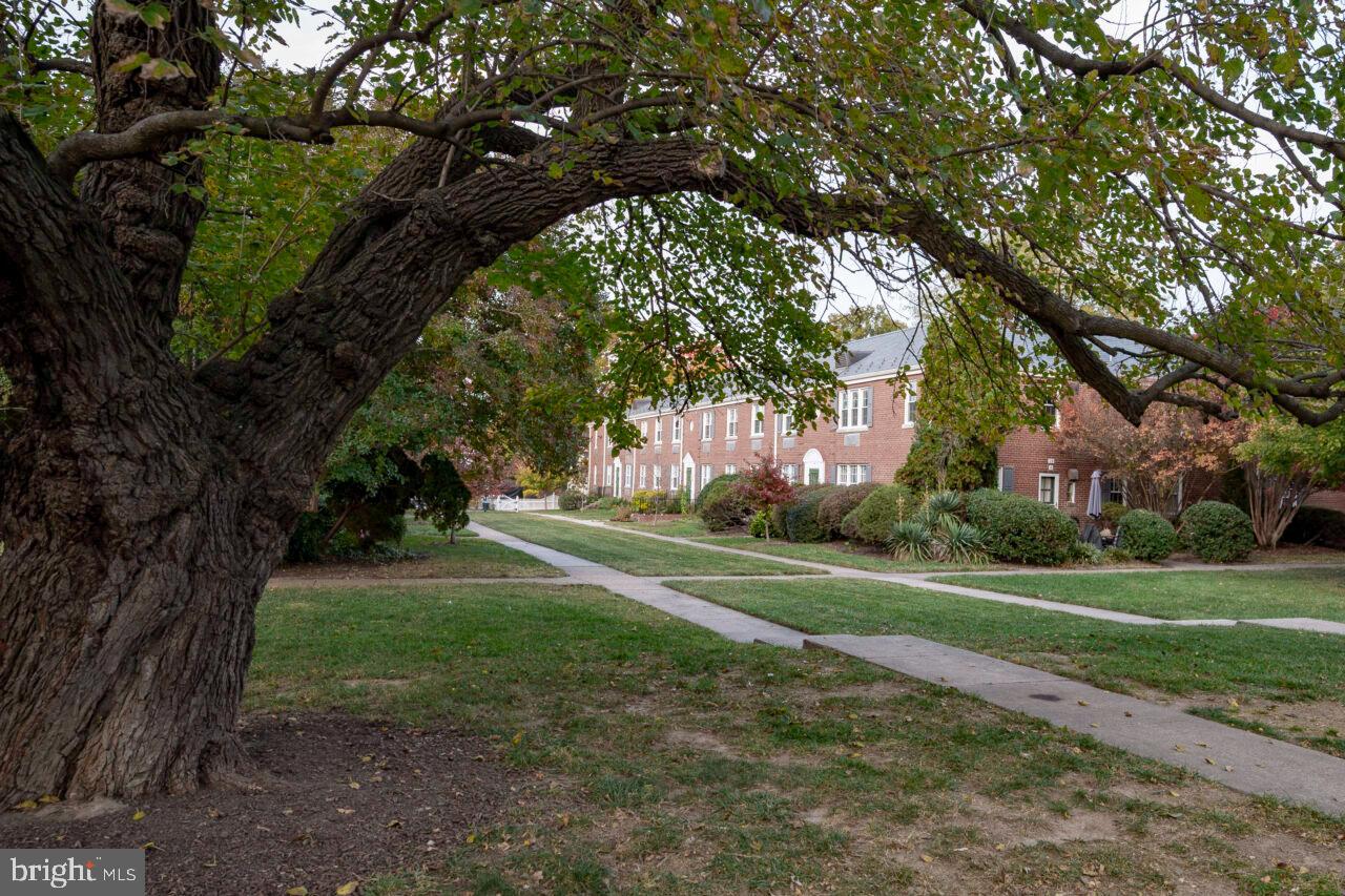 DEL RAY - Residential Lease