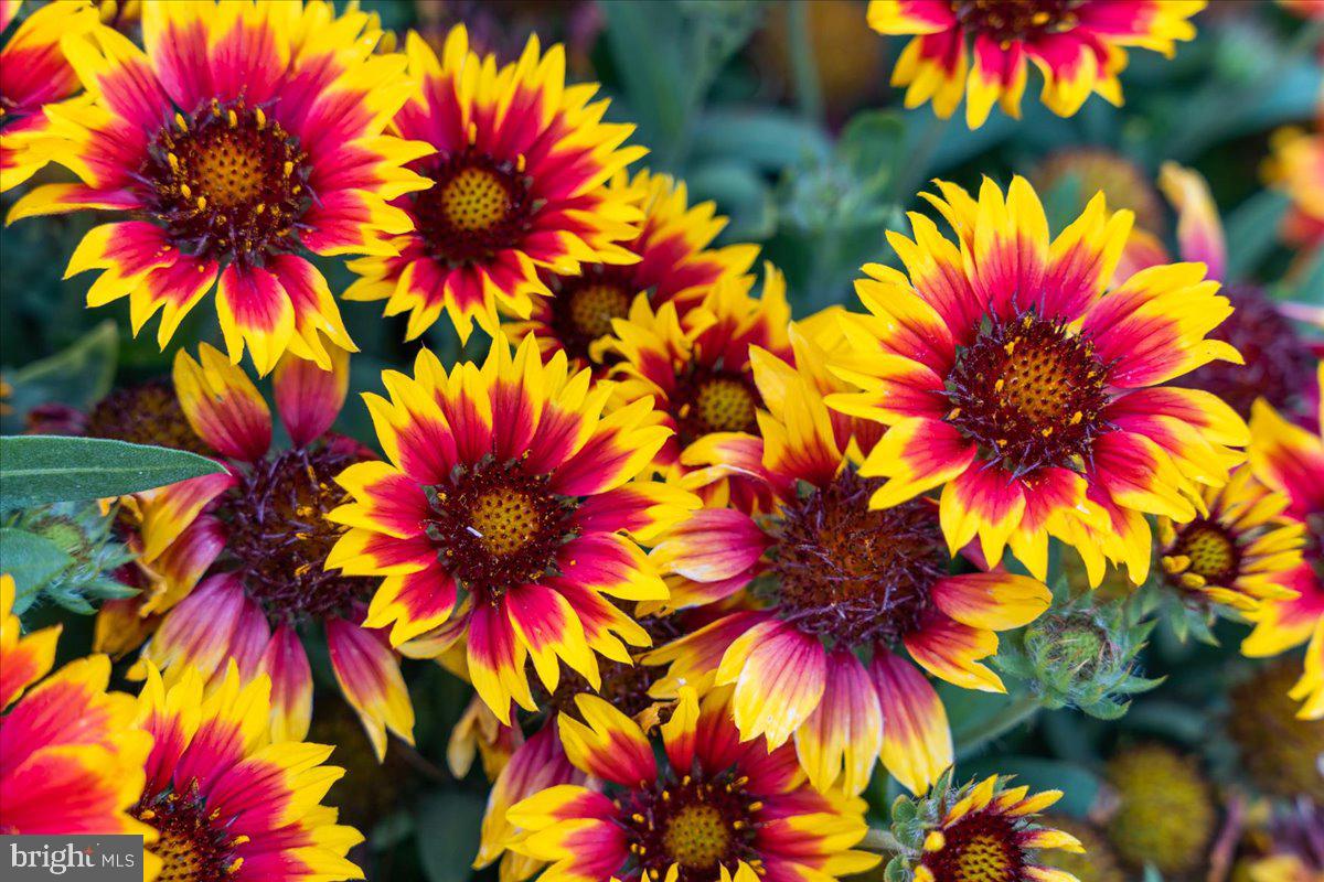 TARA WOODS - Residential